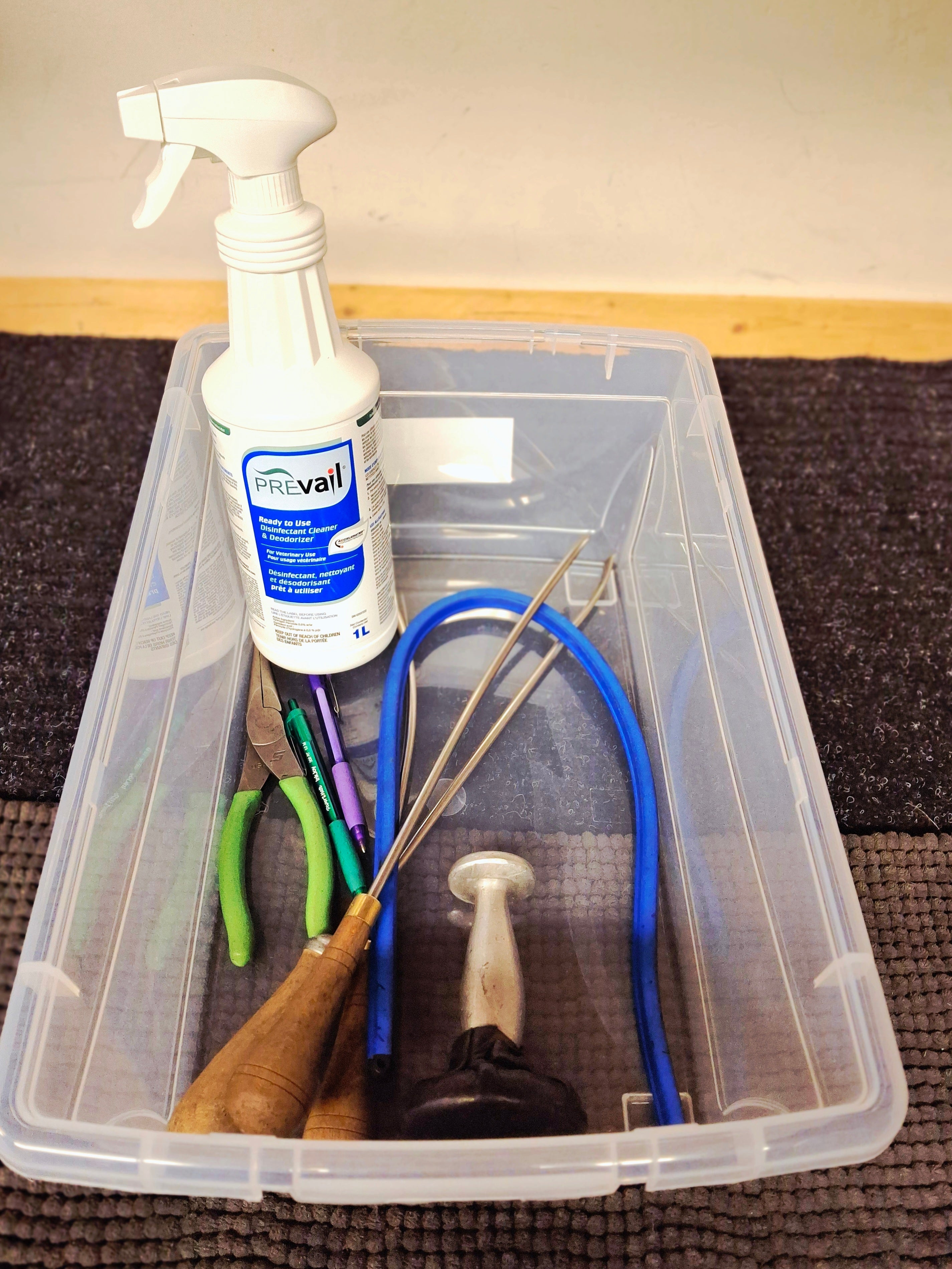 Putting Horse Health First: How SaddleFit Canada Is Responding to the Strangles Outbreak