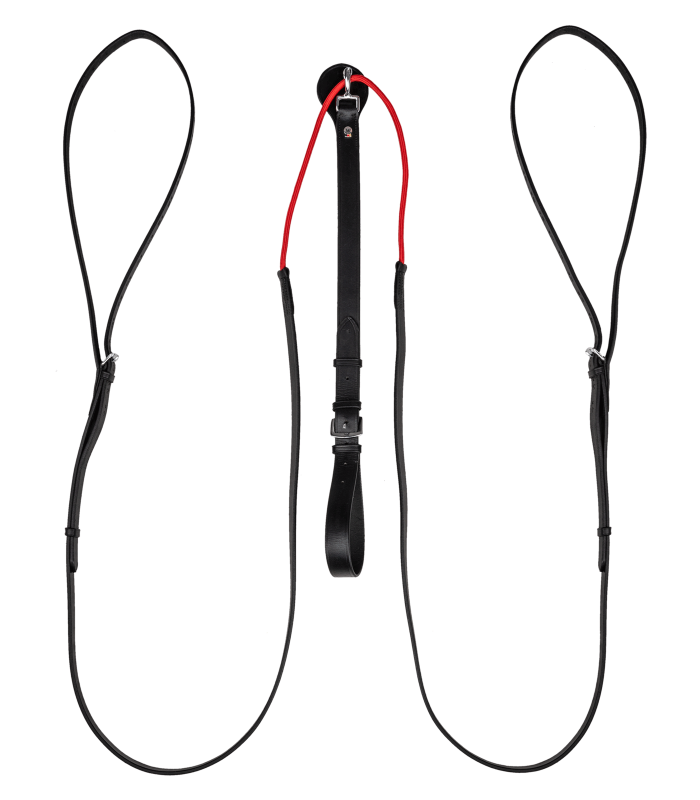 Used Waldhausen W-Trainrein Size Full