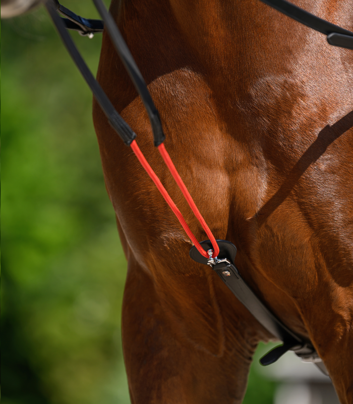 Used Waldhausen W-Trainrein Size Full