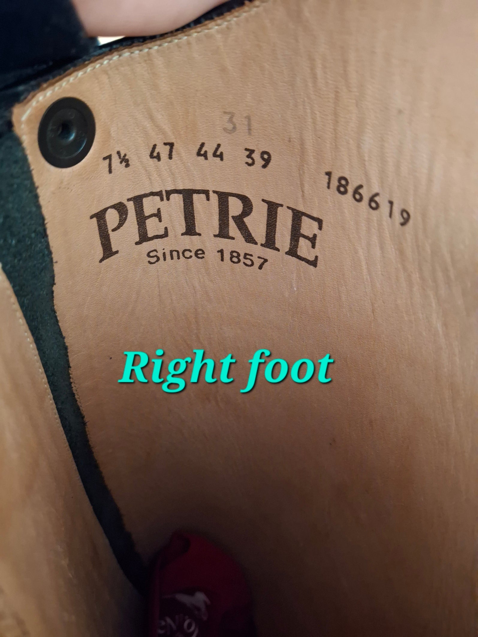 Almost New Used Wide Calf Petrie Dressage Boots