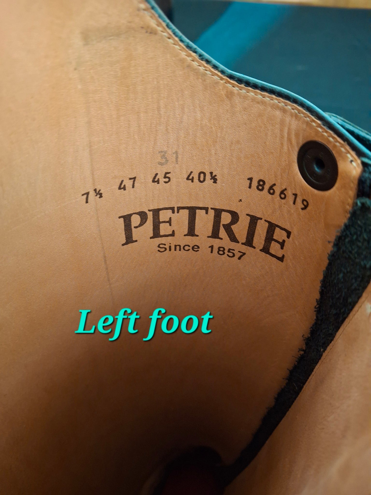 Almost New Used Wide Calf Petrie Dressage Boots
