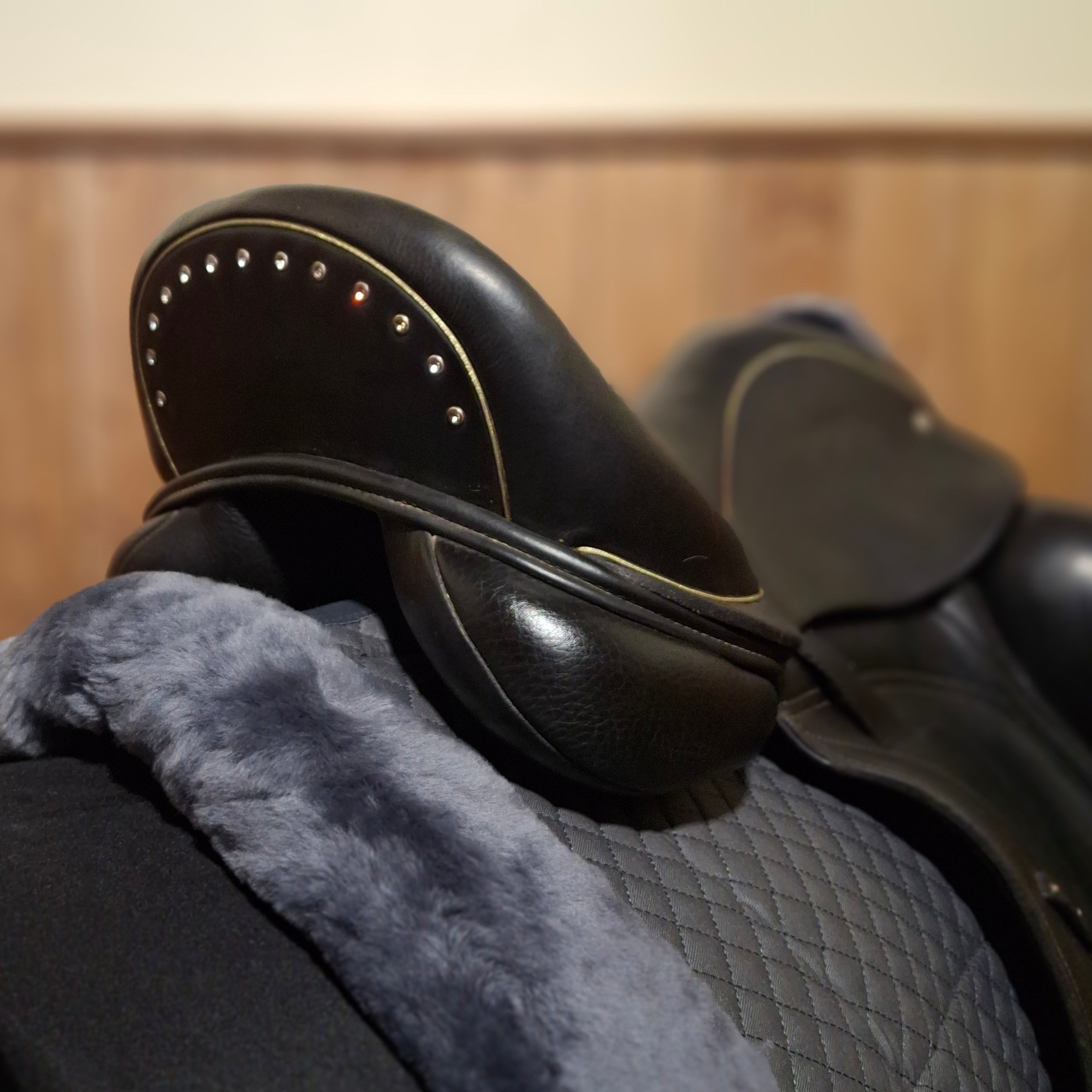 Used 17" Custom Wolfgang Omni Dressage Saddle