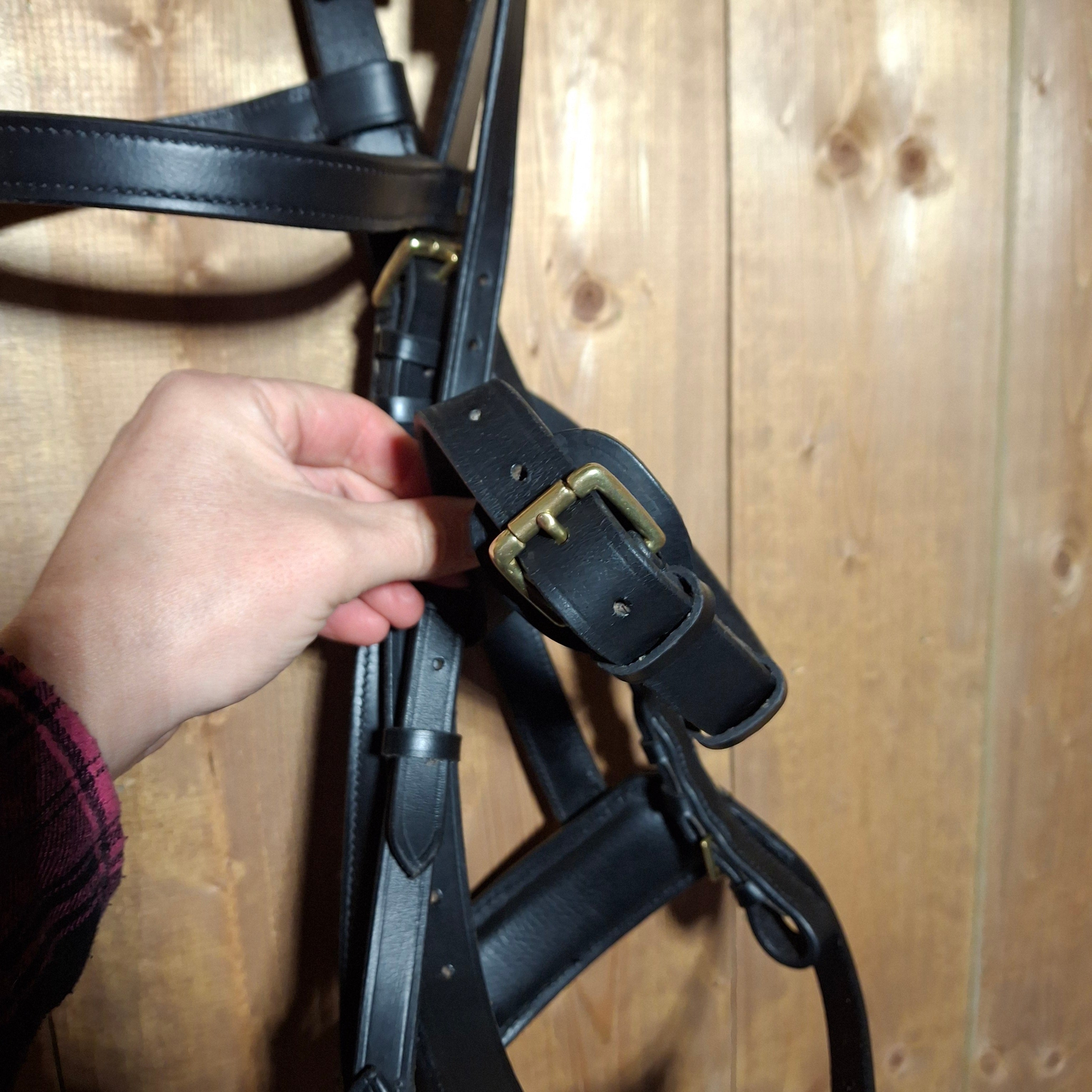 Used TdeT Full Size Lunging Cavesson