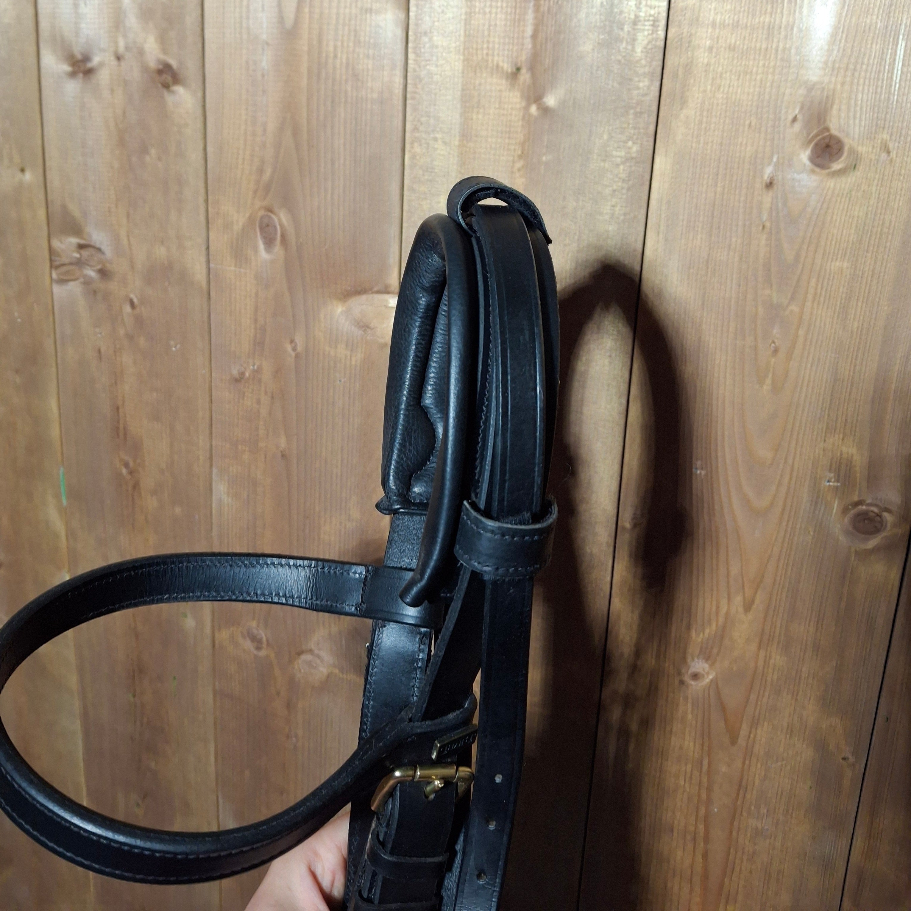 Used TdeT Full Size Lunging Cavesson