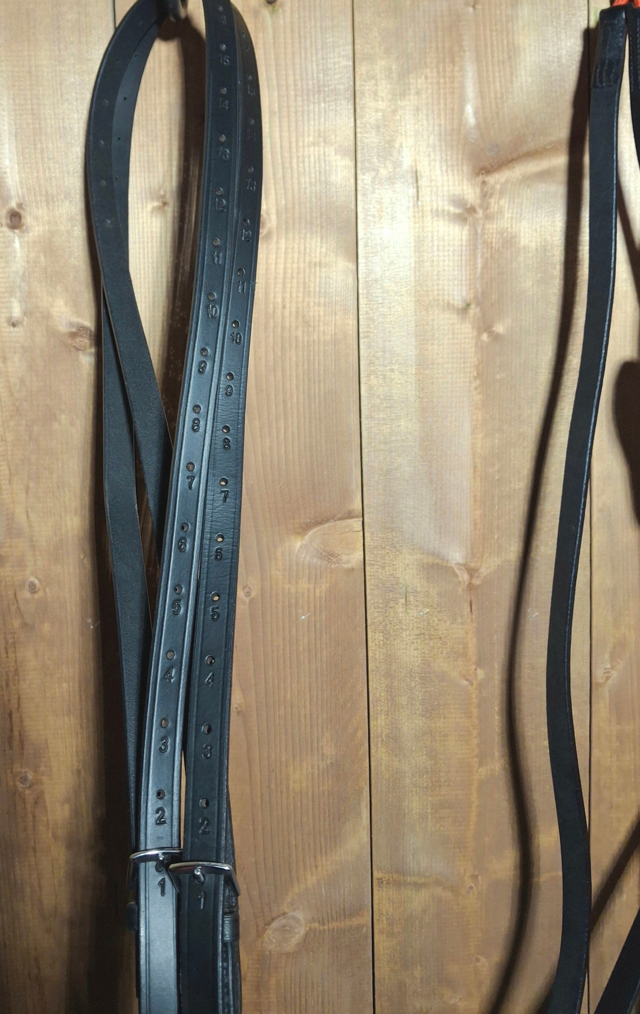 Used Waldhausen W-Trainrein Size Full