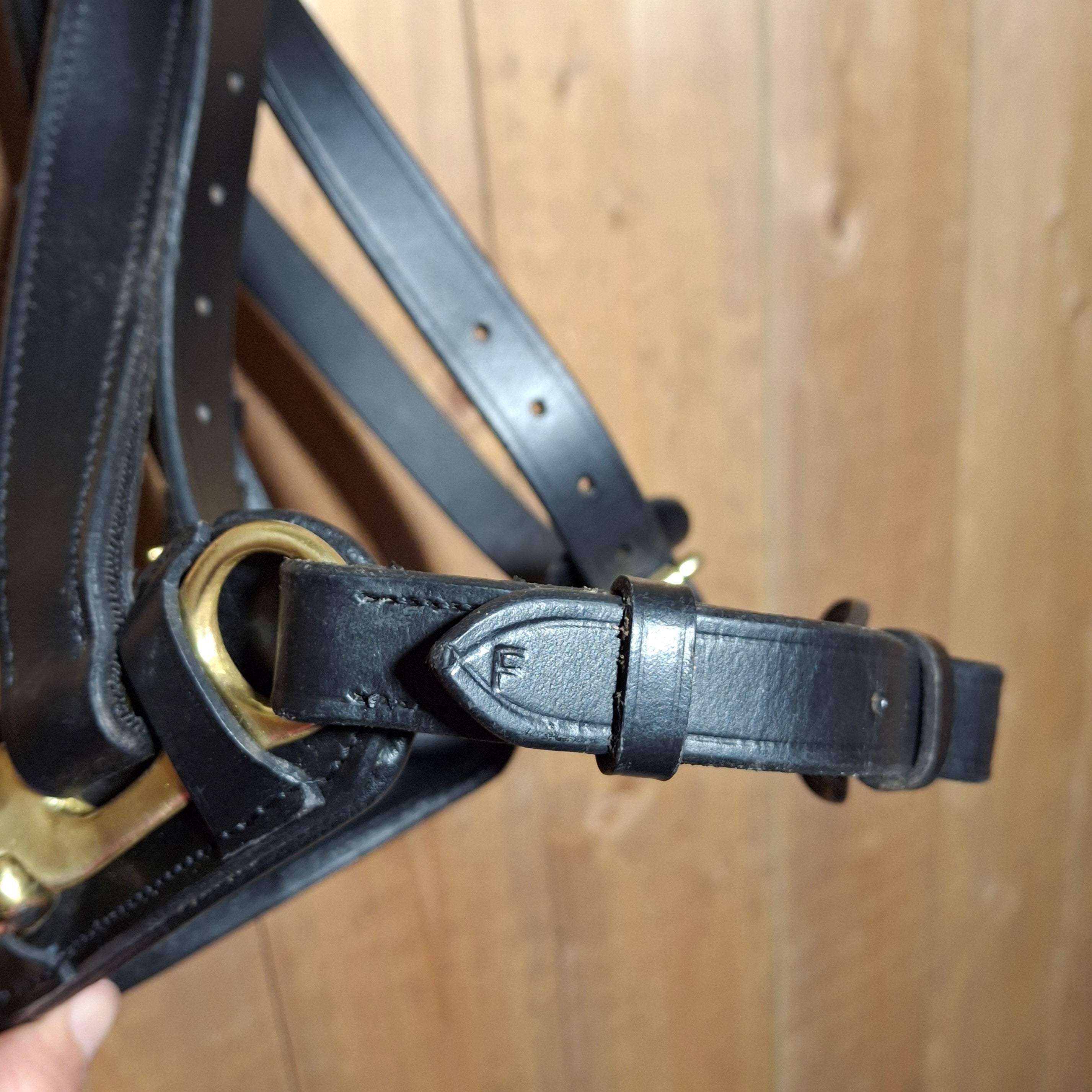 Used TdeT Full Size Lunging Cavesson