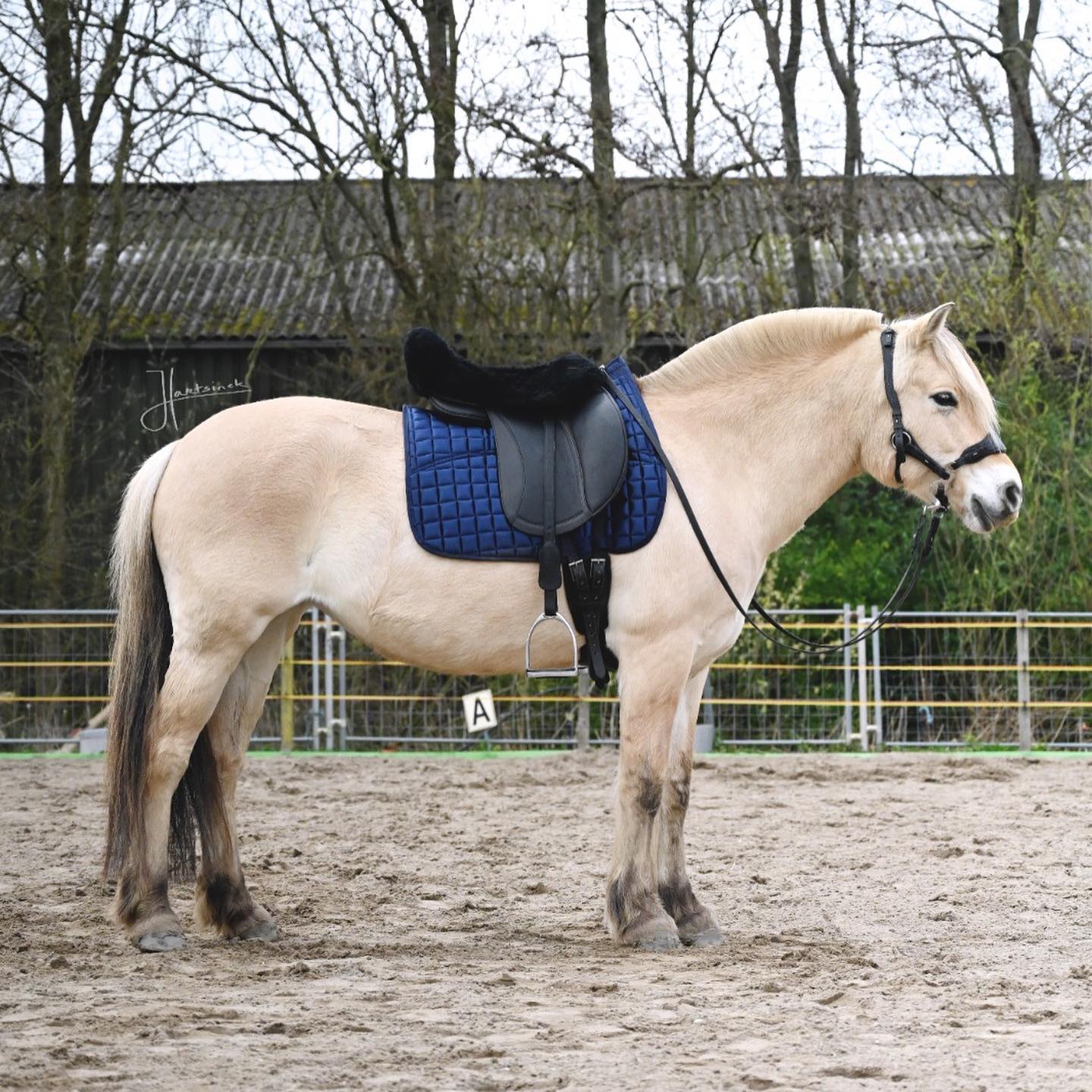 EDIX Merino Seat Saver for English Saddle