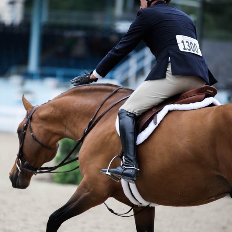 Ecogold Shimcare Hunter Saddle Pad