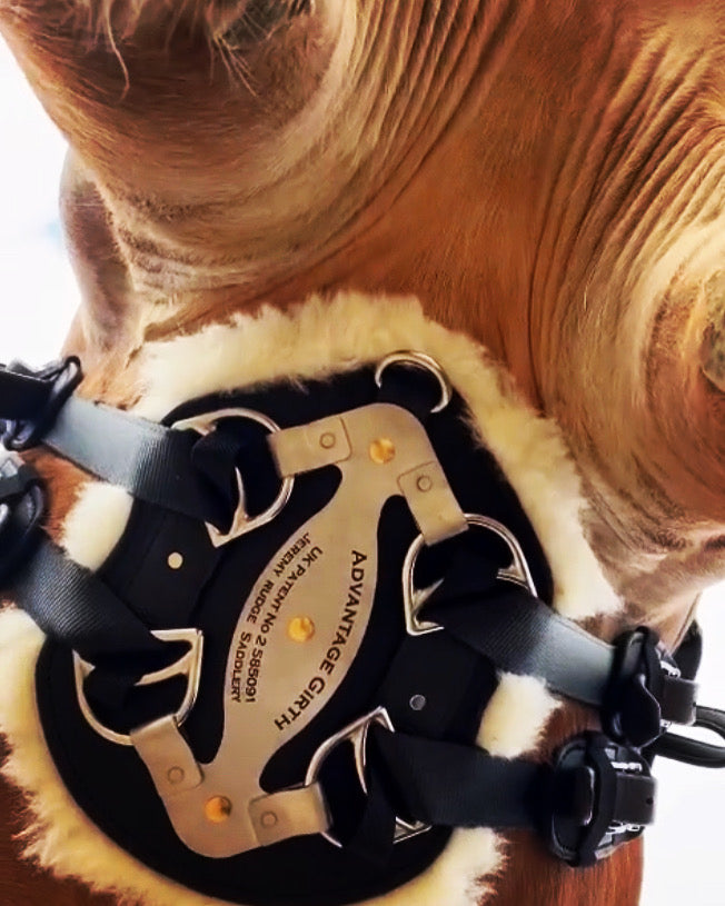 Jeremy Rudge Advantage Girth