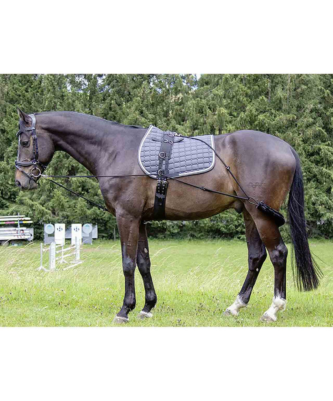 Used HKM Lunging System with Surcingle