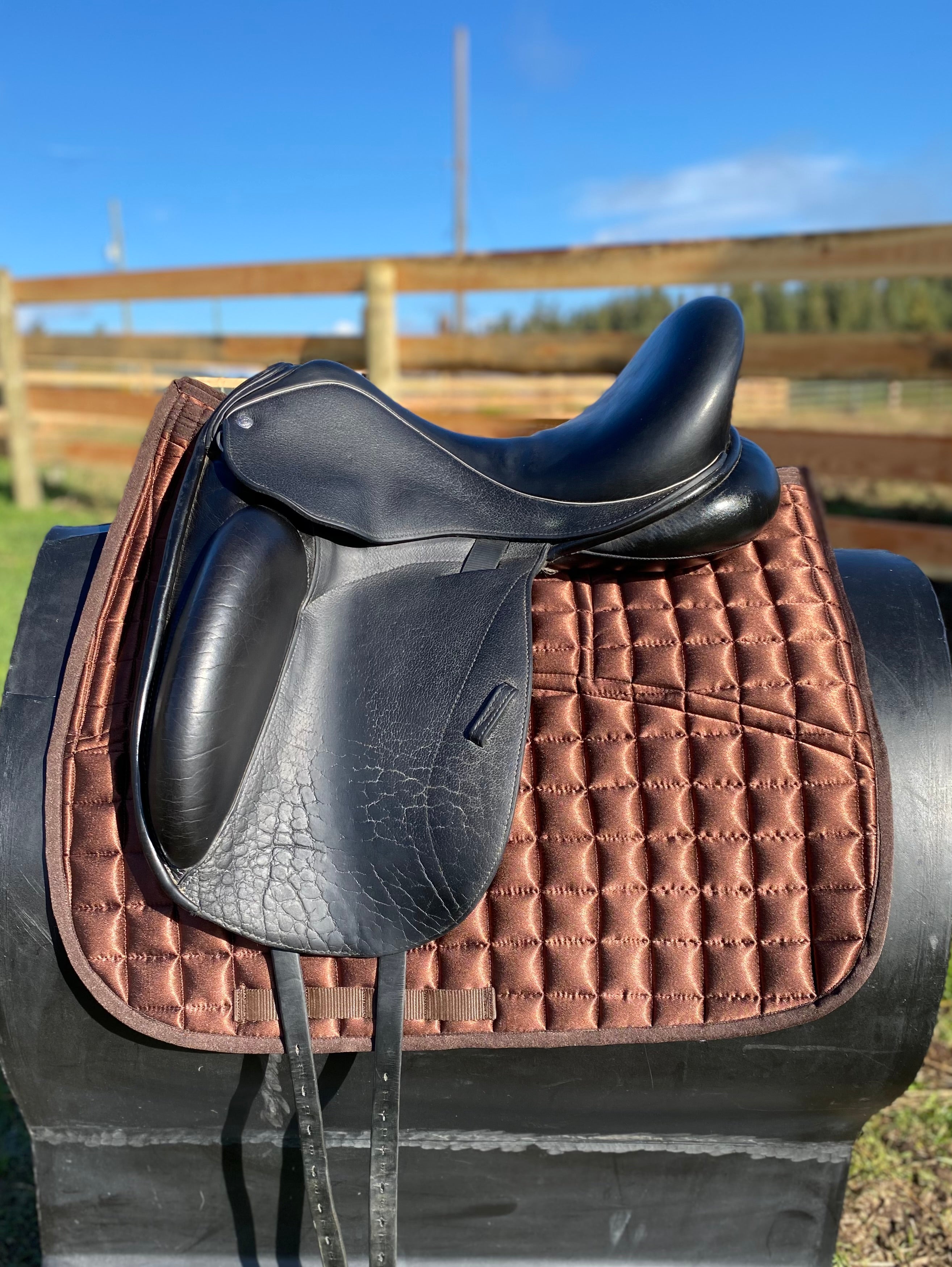 Used 17" Custom Icon Flight Dressage Saddle