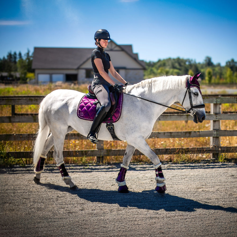 Person riding a white horse on a paved path with a wooden fence and buildings in the background.