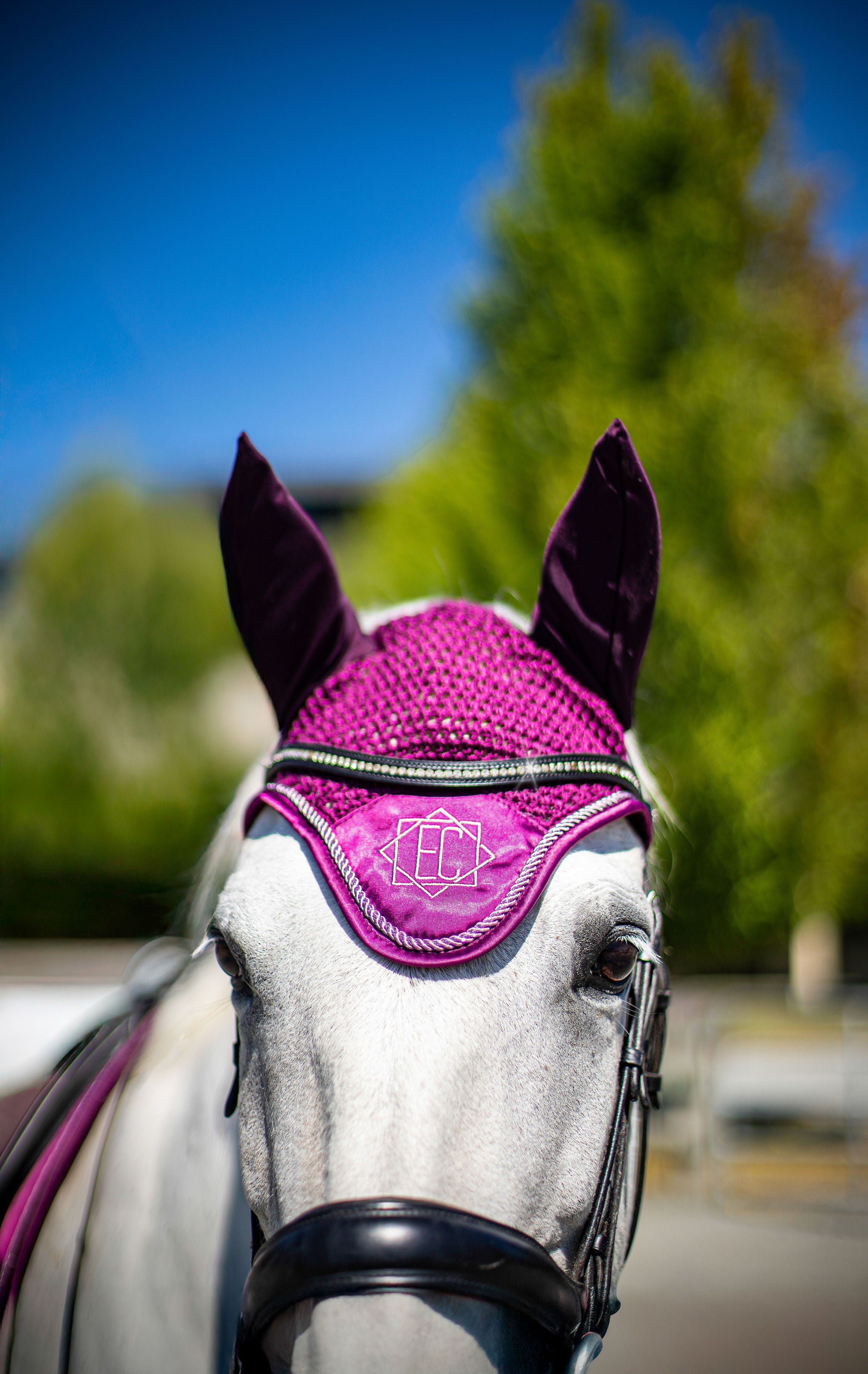 Berry Crush Bonnet