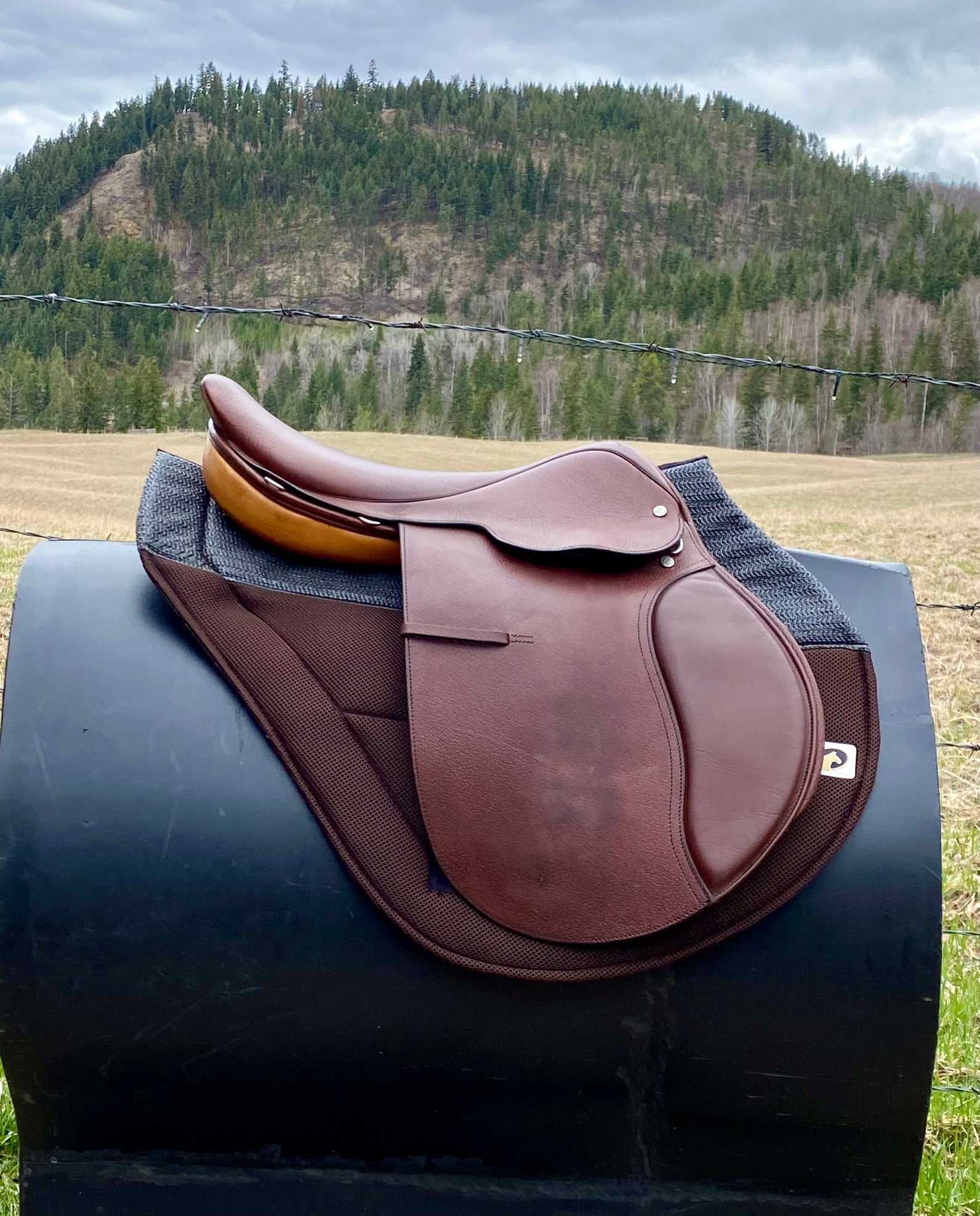 Used Crosby Corinthian 17.5" Jump Saddle
