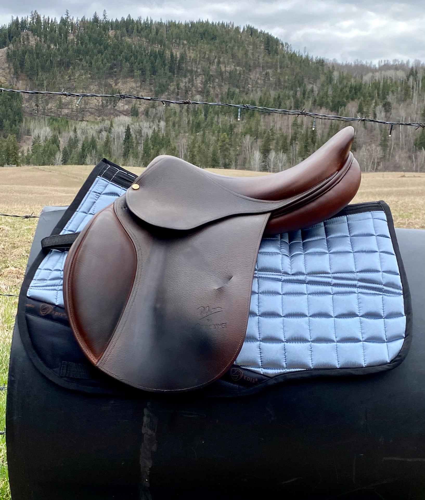 Used Bruno Delgrange 16.5" Jump Saddle
