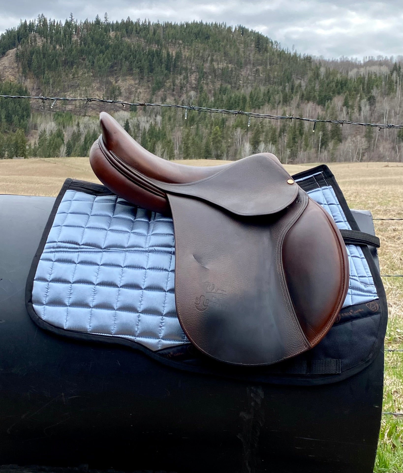 Used Bruno Delgrange 16.5" Jump Saddle