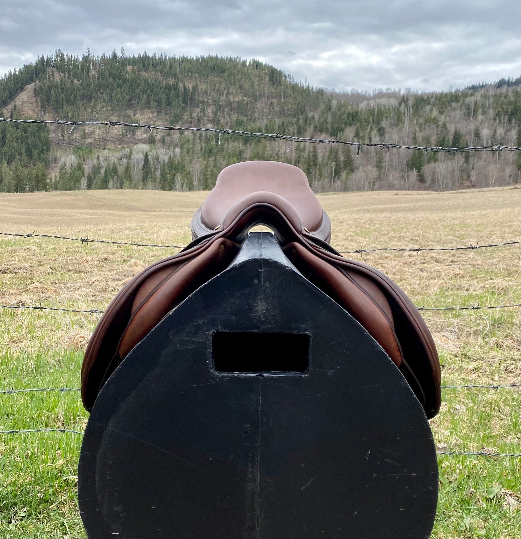 Used Bruno Delgrange 16.5" Jump Saddle
