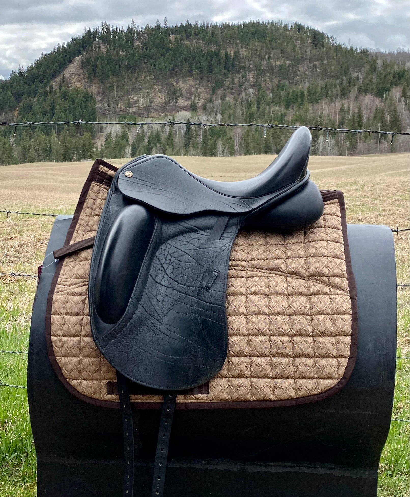 Used NSC Rhomeo 17" Dressage Saddle