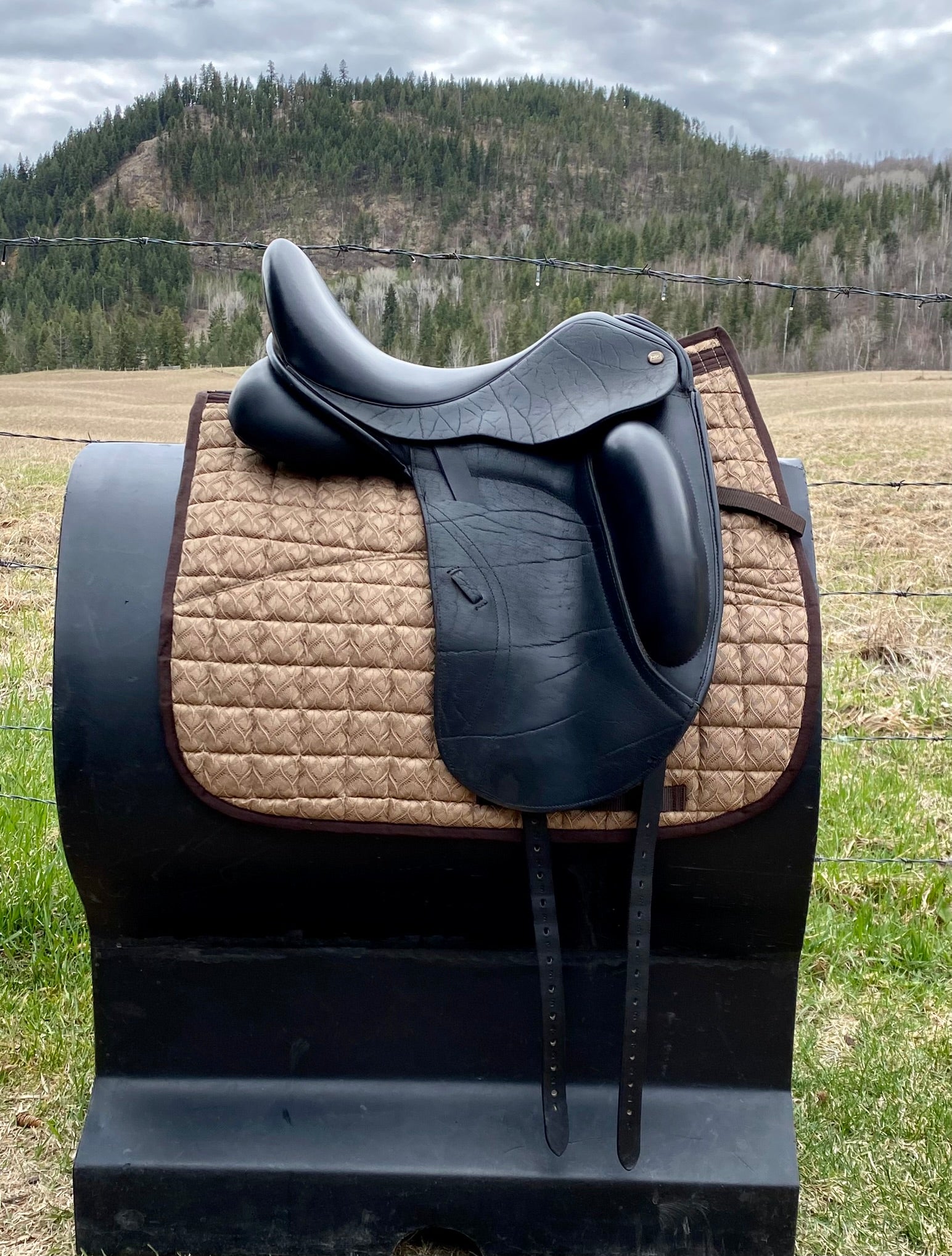 Used NSC Rhomeo 17" Dressage Saddle