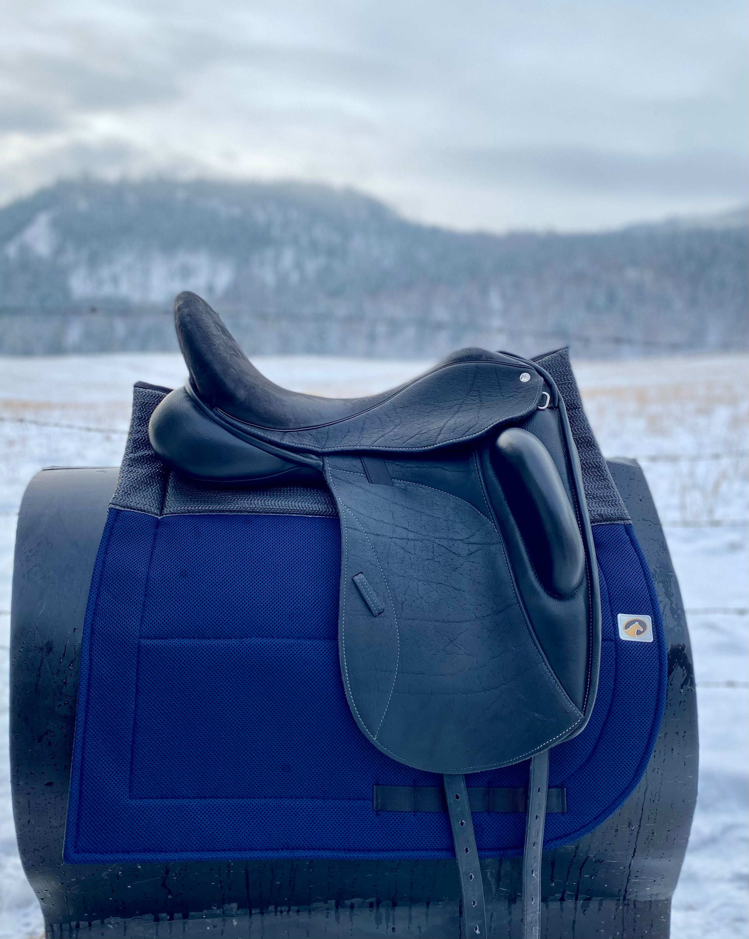 Used Custom Icon Coda 18" Dressage Saddle