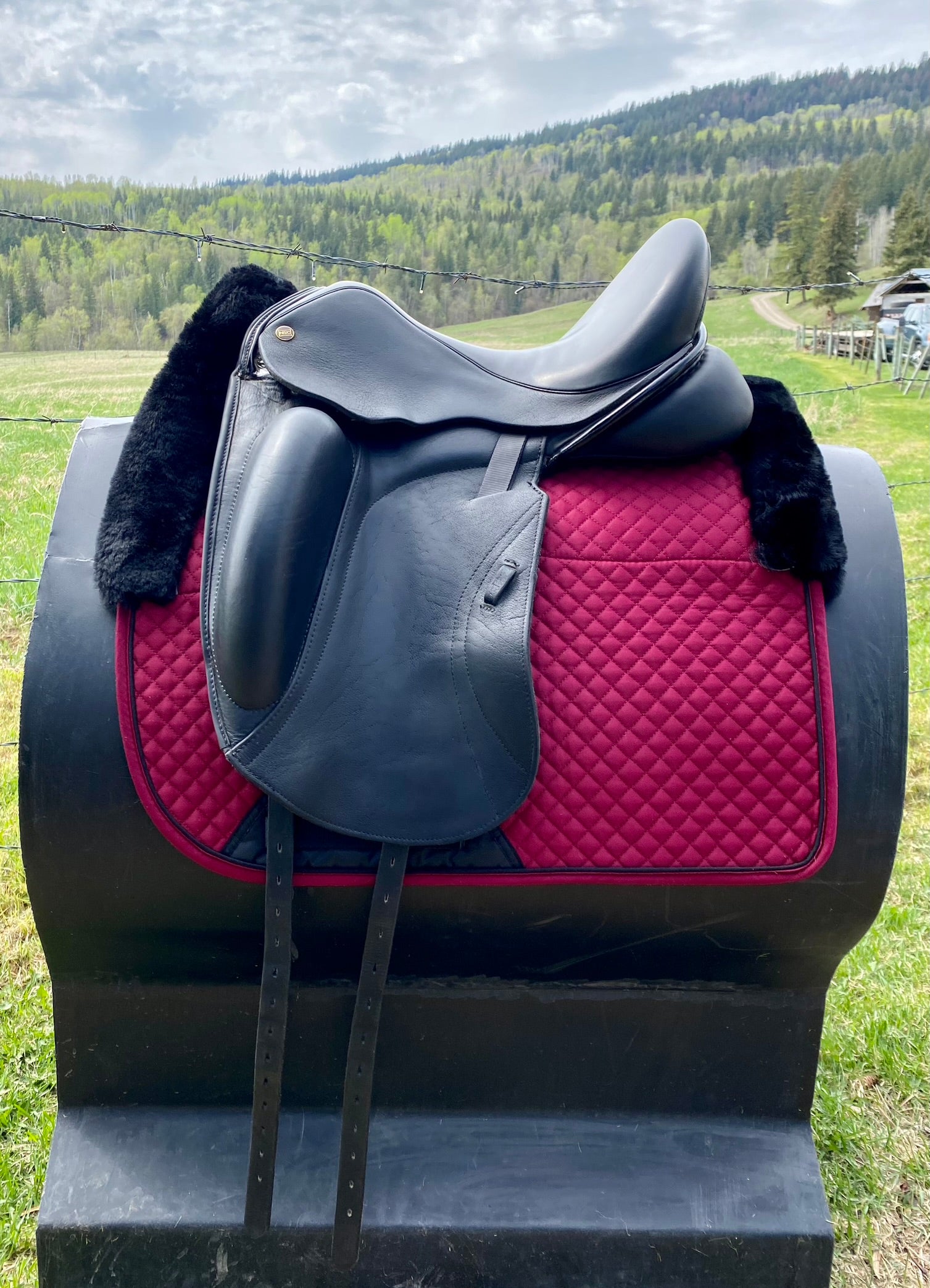 Used NSC 17" Dressage Saddle