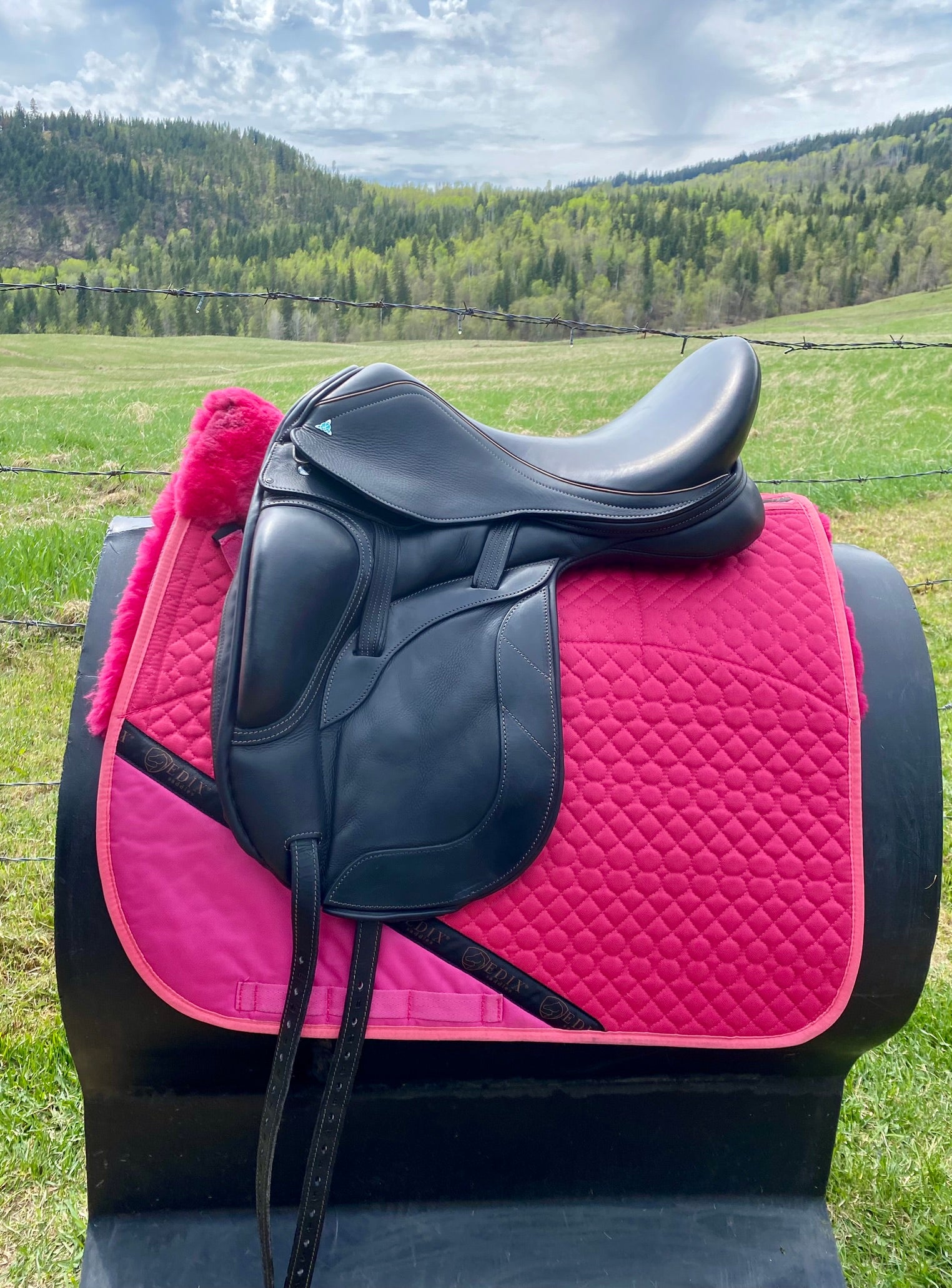Used Bliss of London Paramour 17" Dressage Saddle