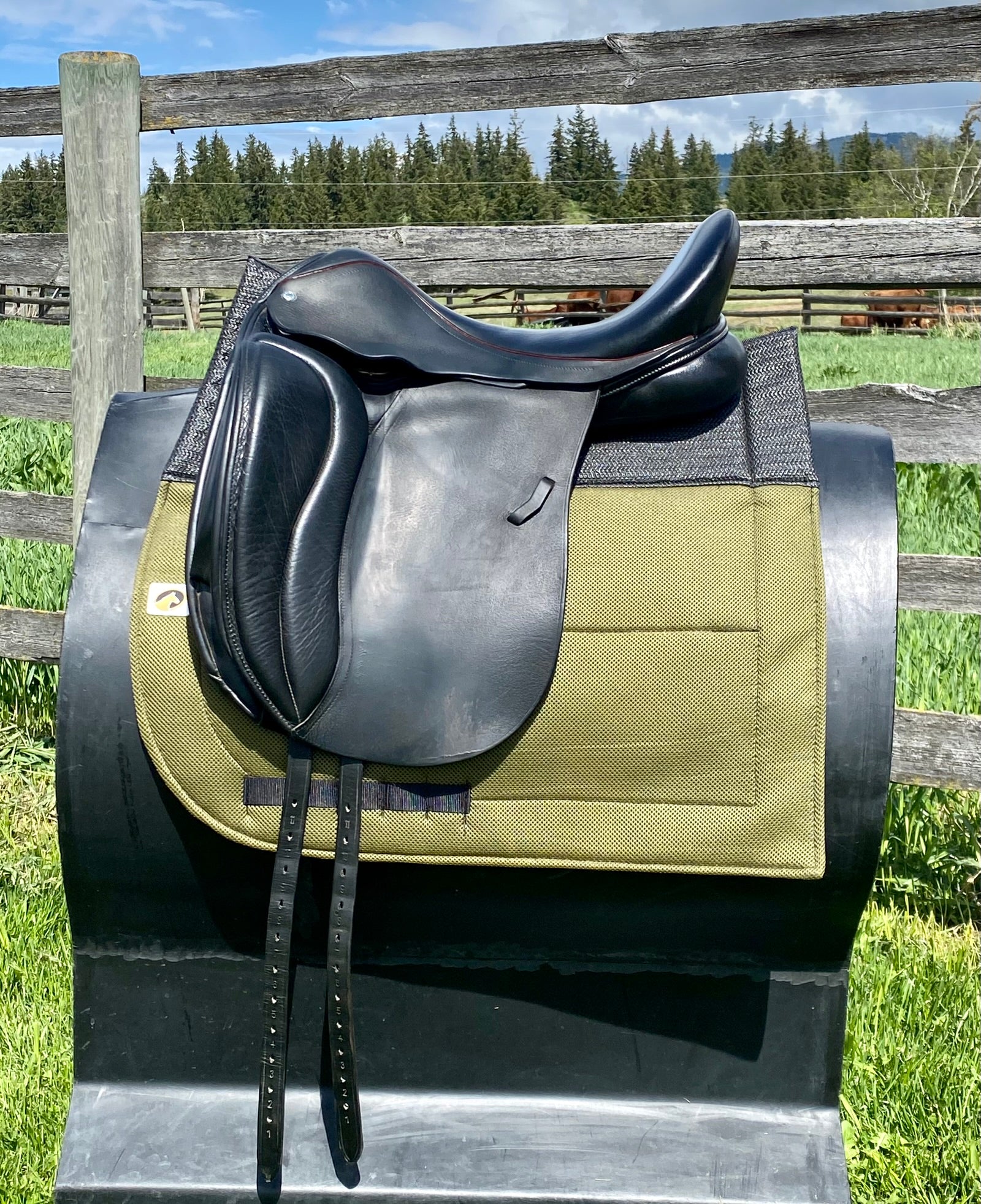 Used Bliss of London Loxley 18" Dressage Saddle