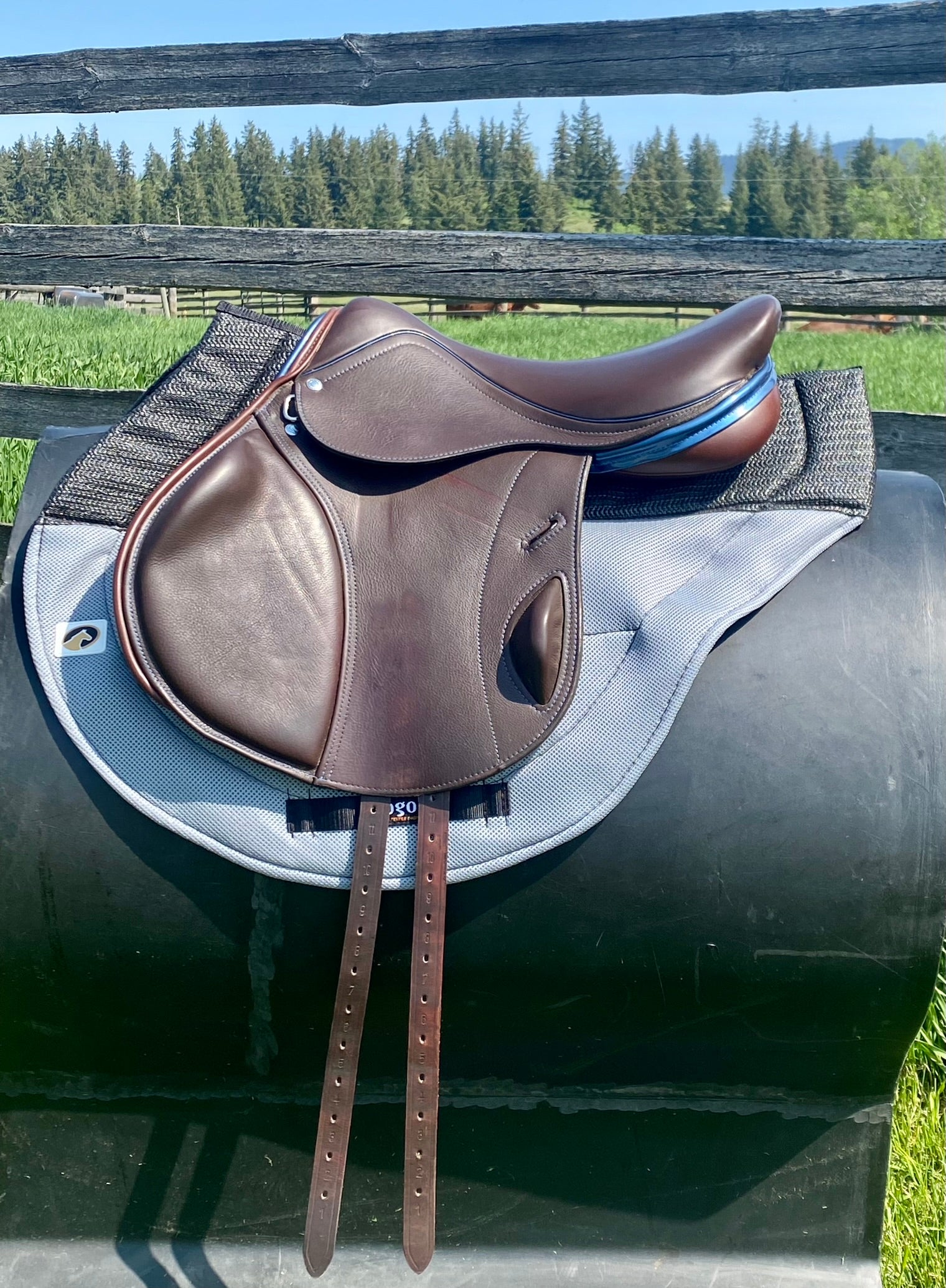 Used Bliss Loxley 16.5" Monoflap Jump Saddle