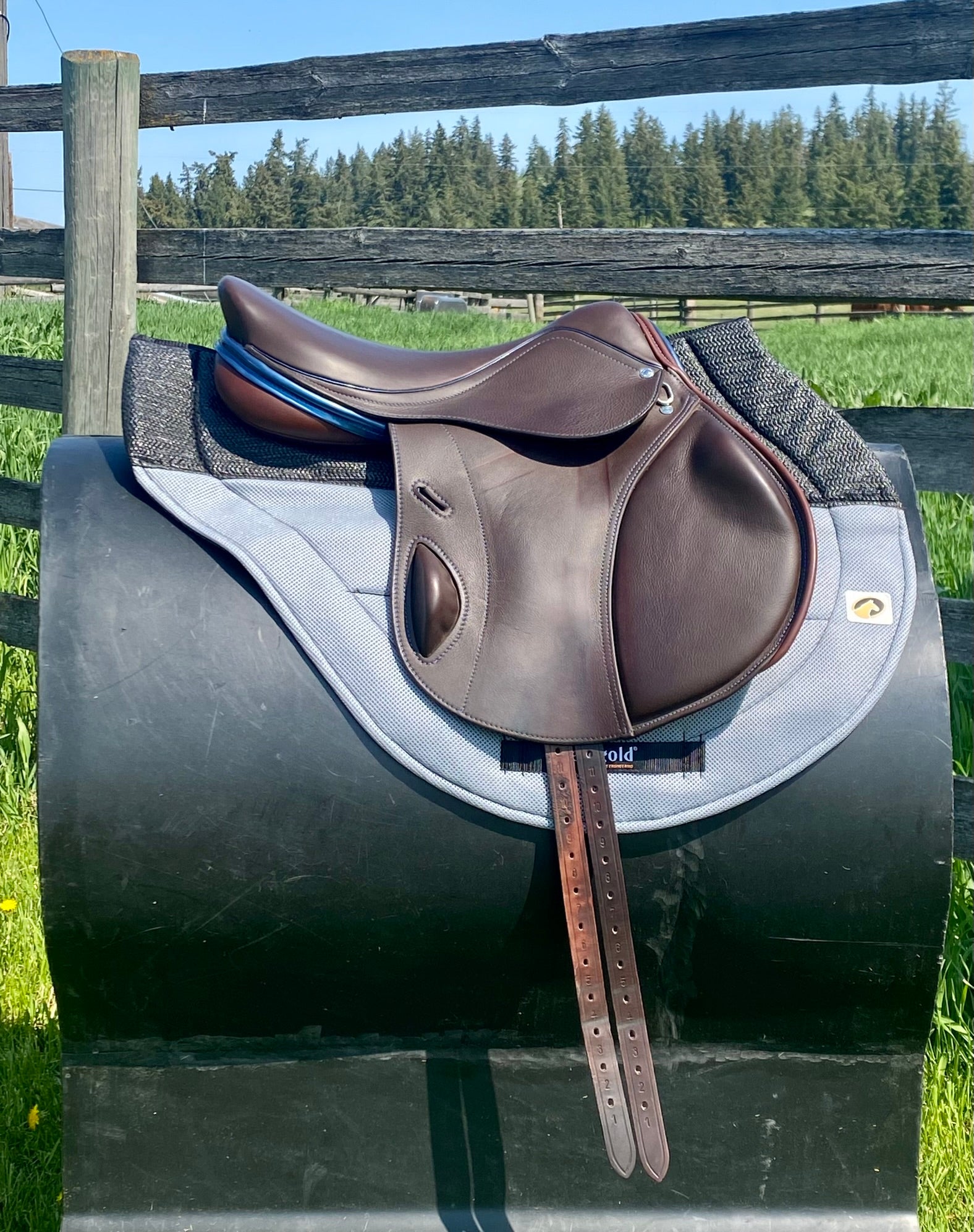 Used Bliss Loxley 16.5" Monoflap Jump Saddle