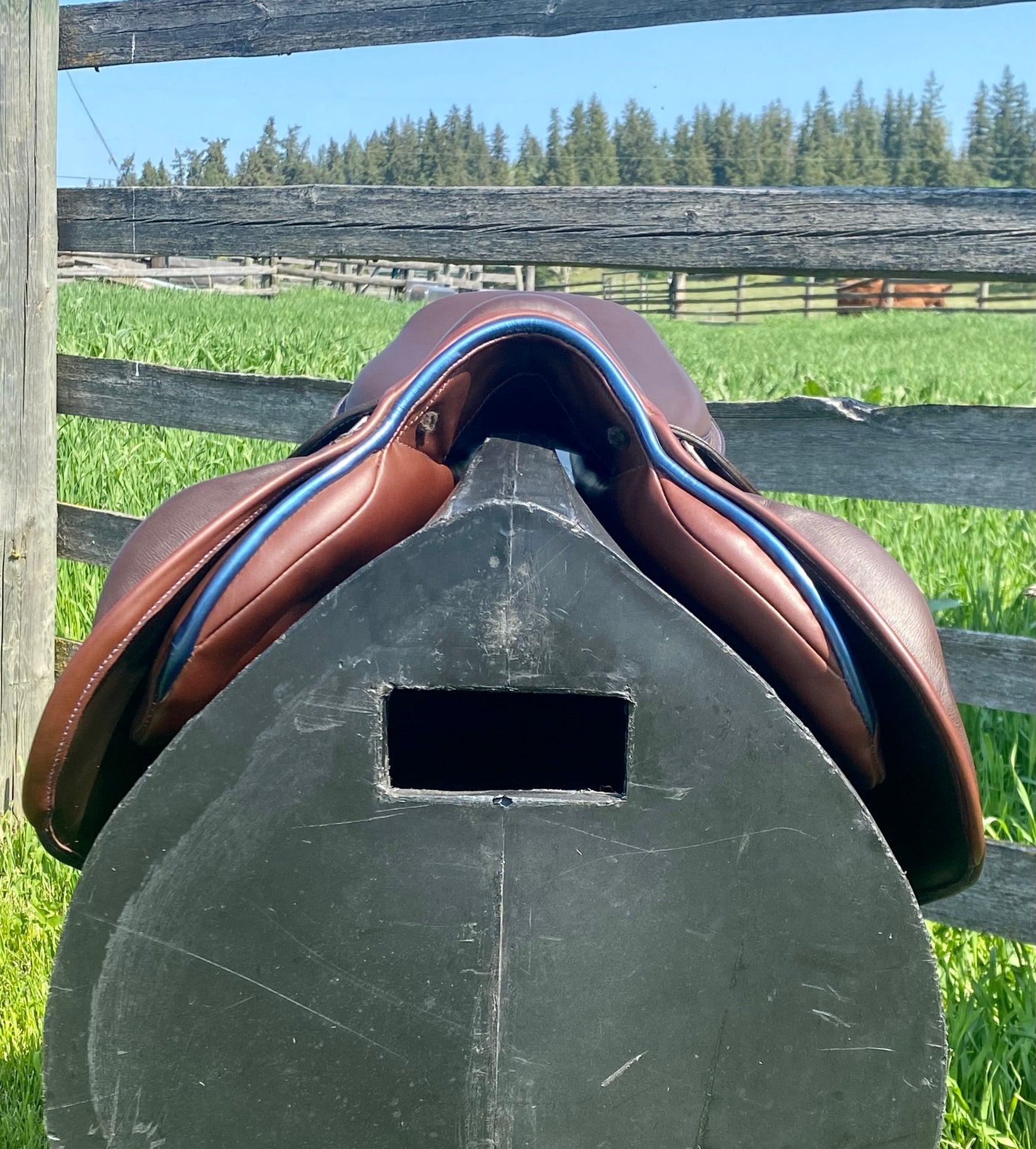Used Bliss Loxley 16.5" Monoflap Jump Saddle