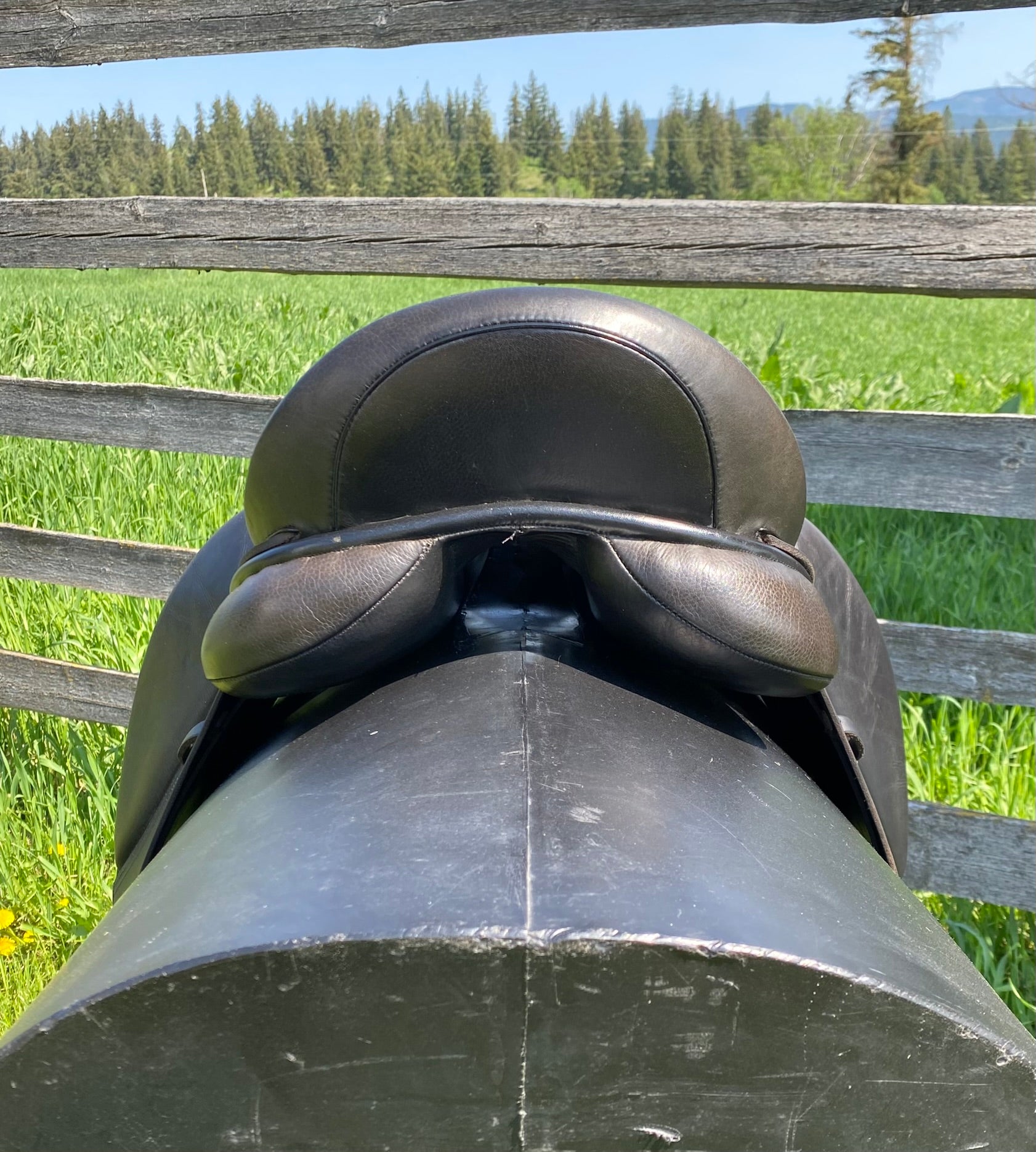 Used Silhouette Classic 16-16.5" Dressage Saddle