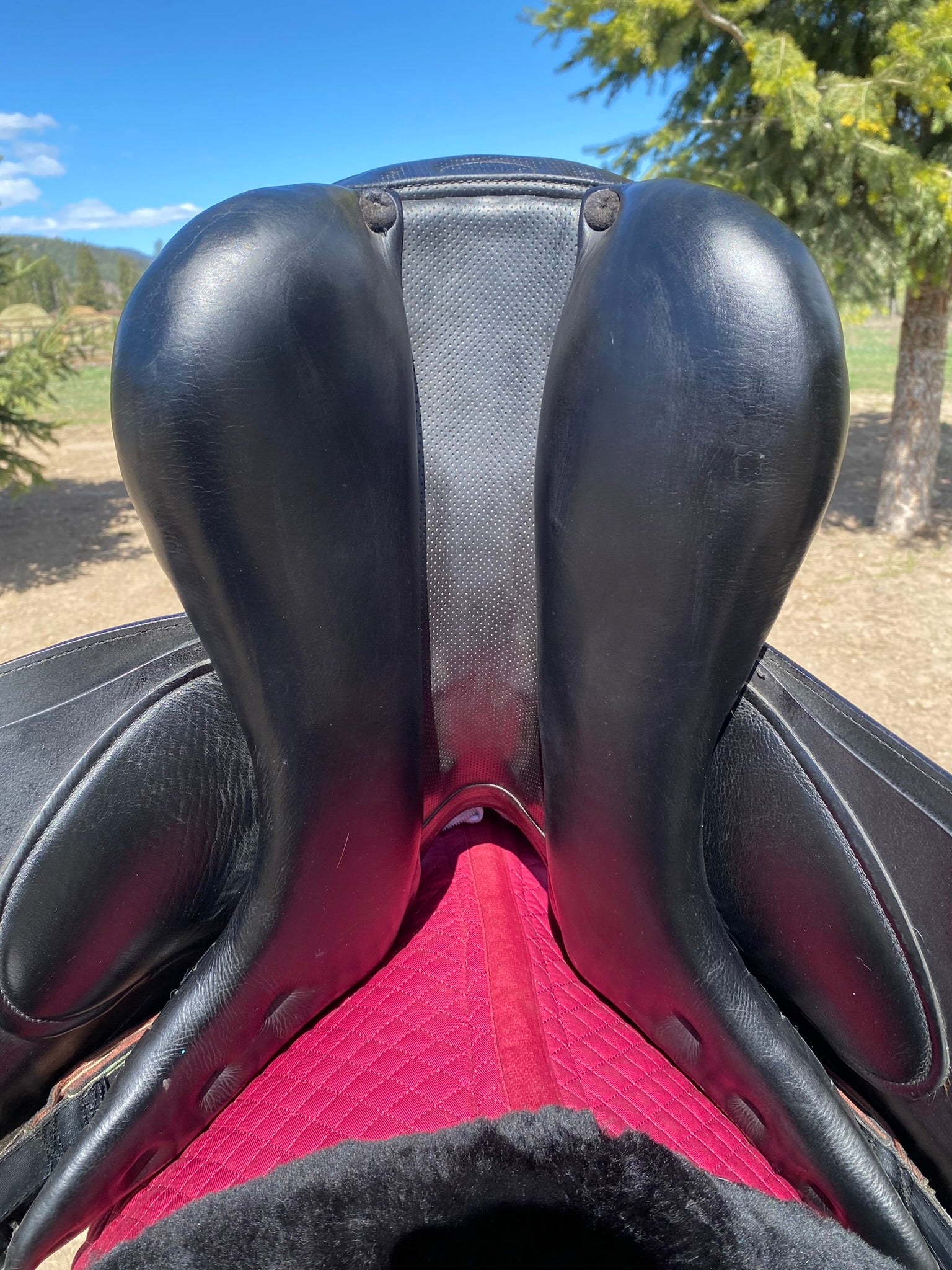 Used Prestige X-D1 17" Dressage Saddle