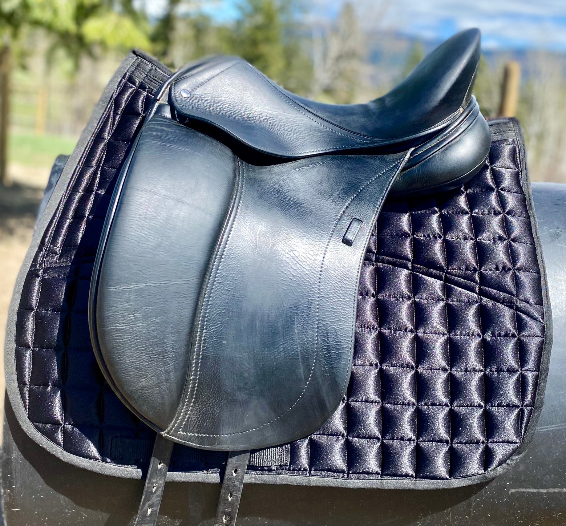 Used Schleese HK 17.5" Dressage Saddle