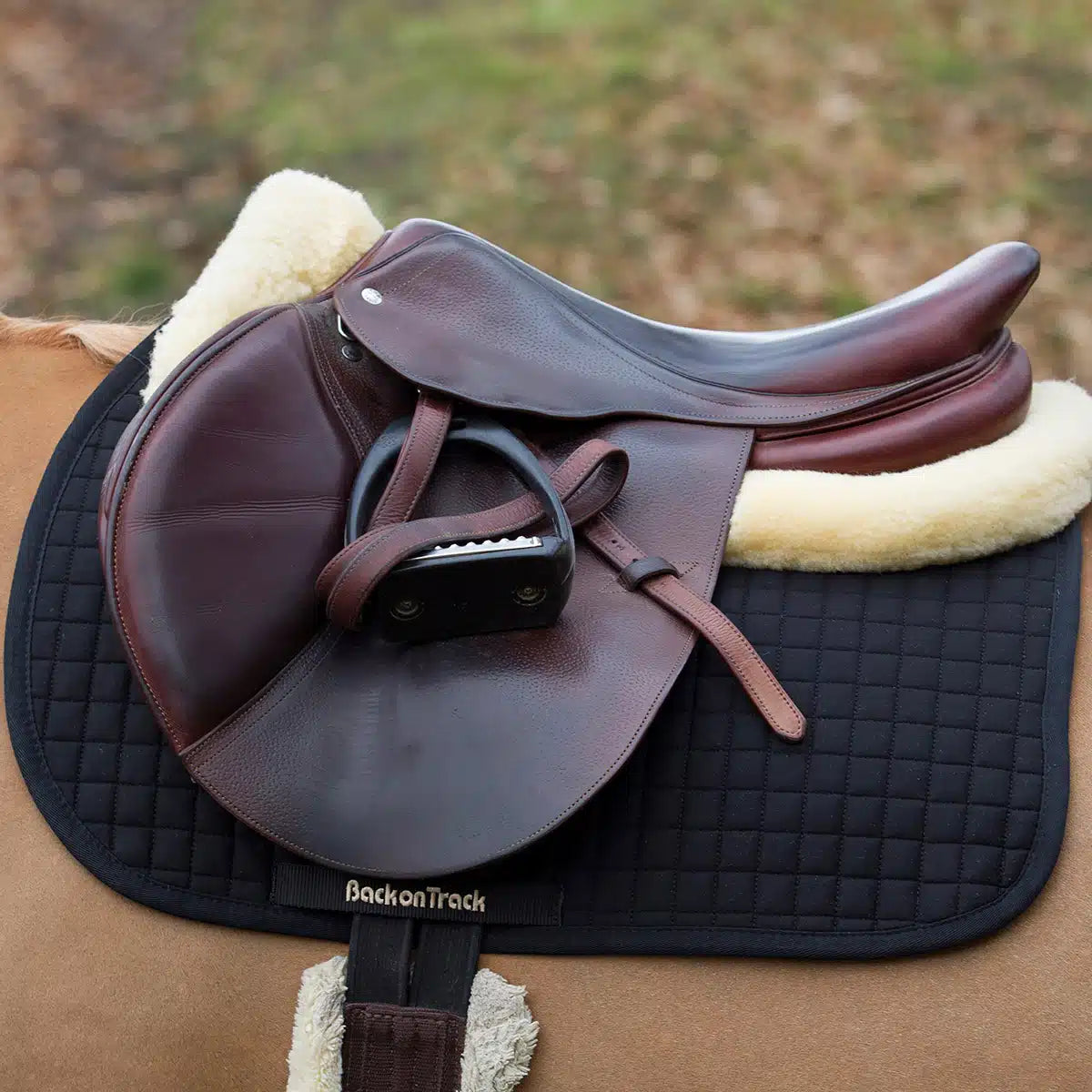 Used Back on Track Jump Saddle Pad