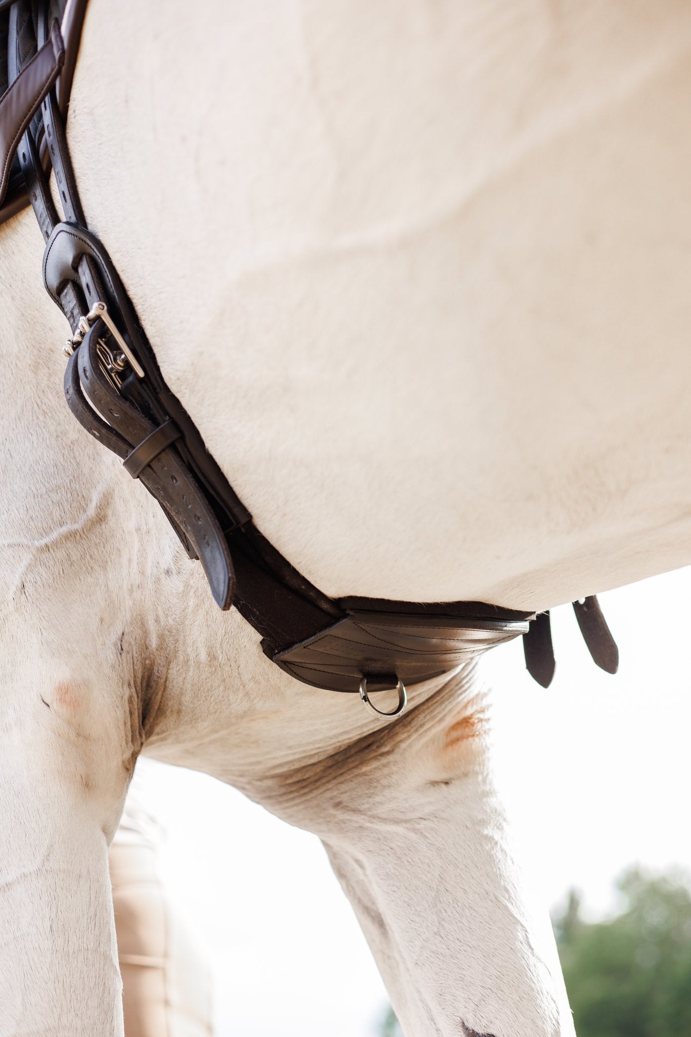 Tapestry Comfort Dressage/Monoflap Girth