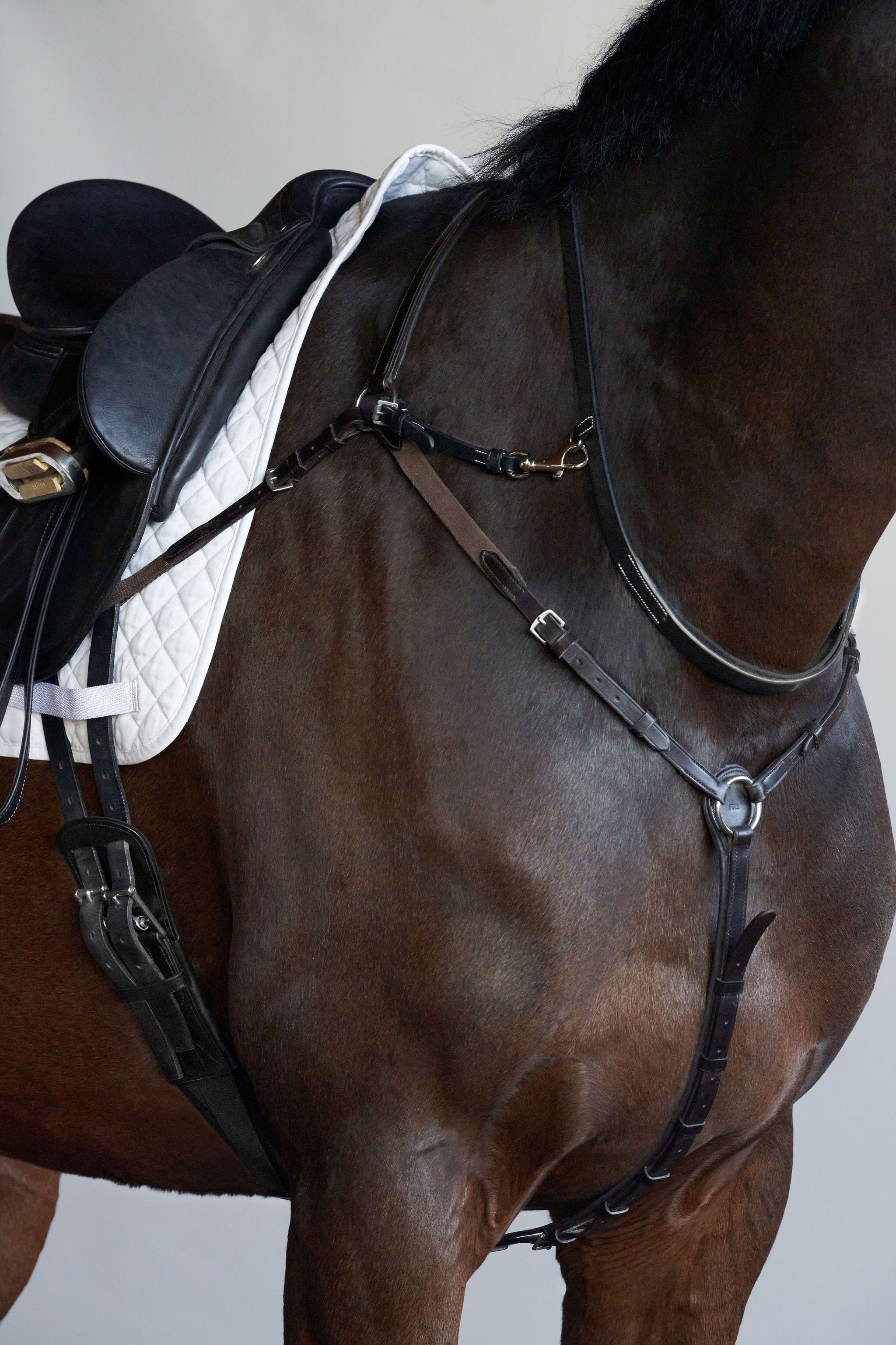 Tapestry Neck Strap and 2 Attachments