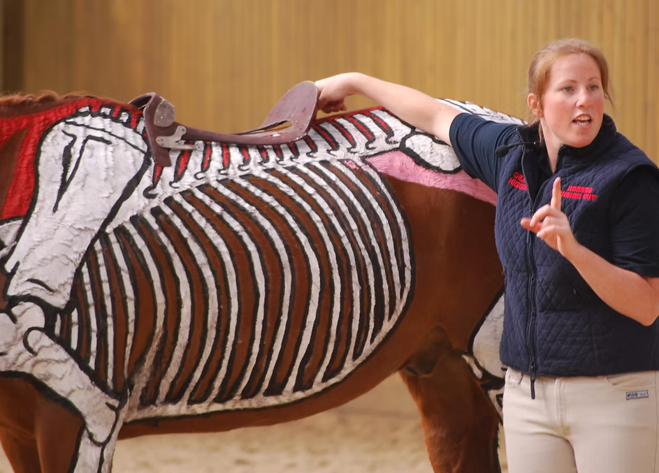 Horses Inside Out Picture