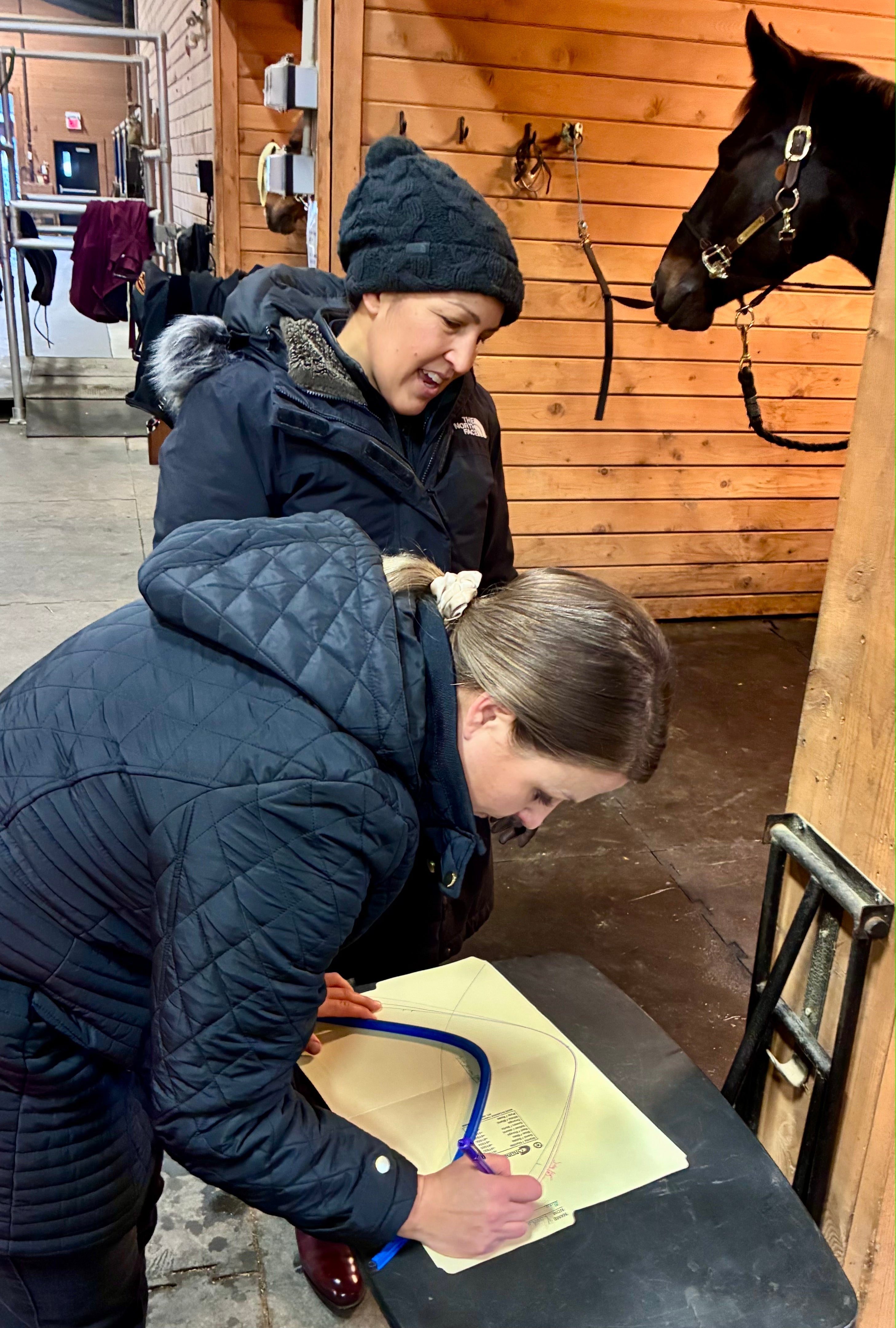 Virtual Saddle Fitting Appointment