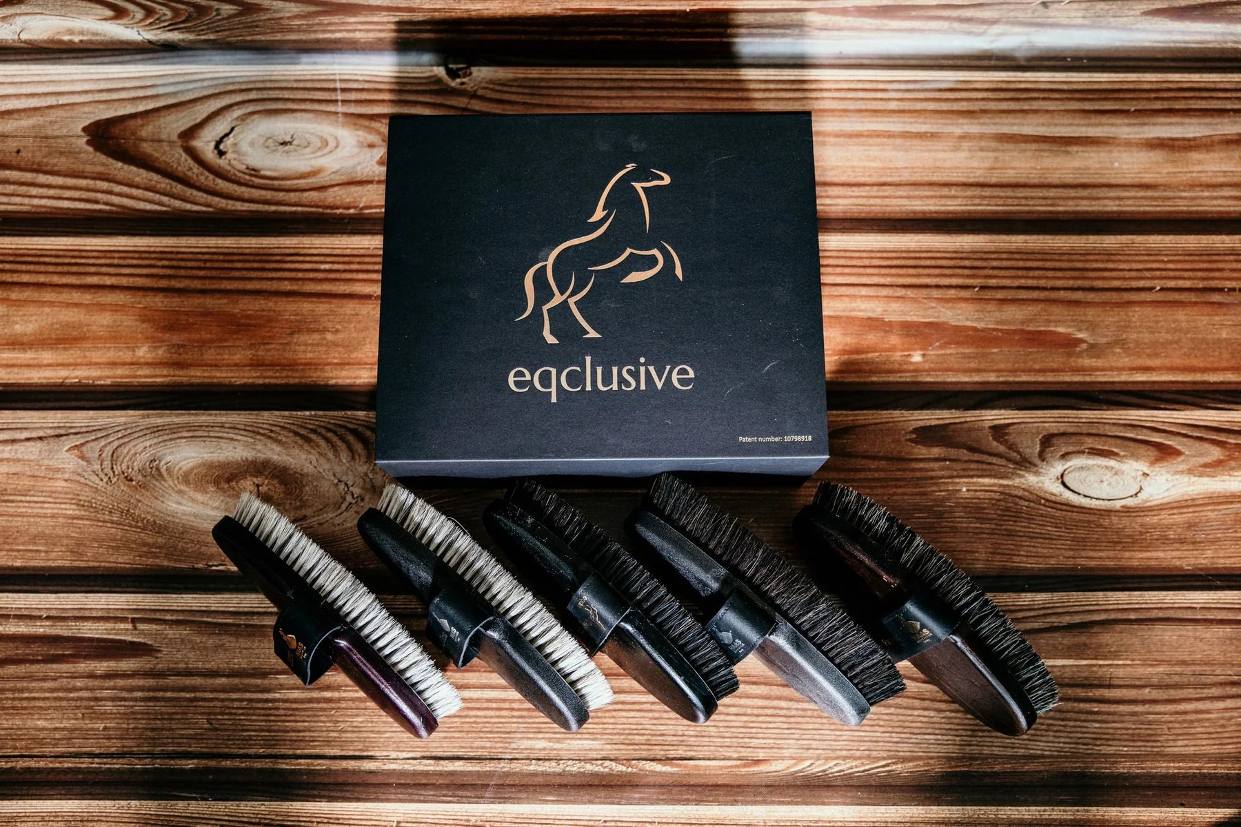 HAAS - Eqclusive Black/Dark Bay and Bay Horse Pack