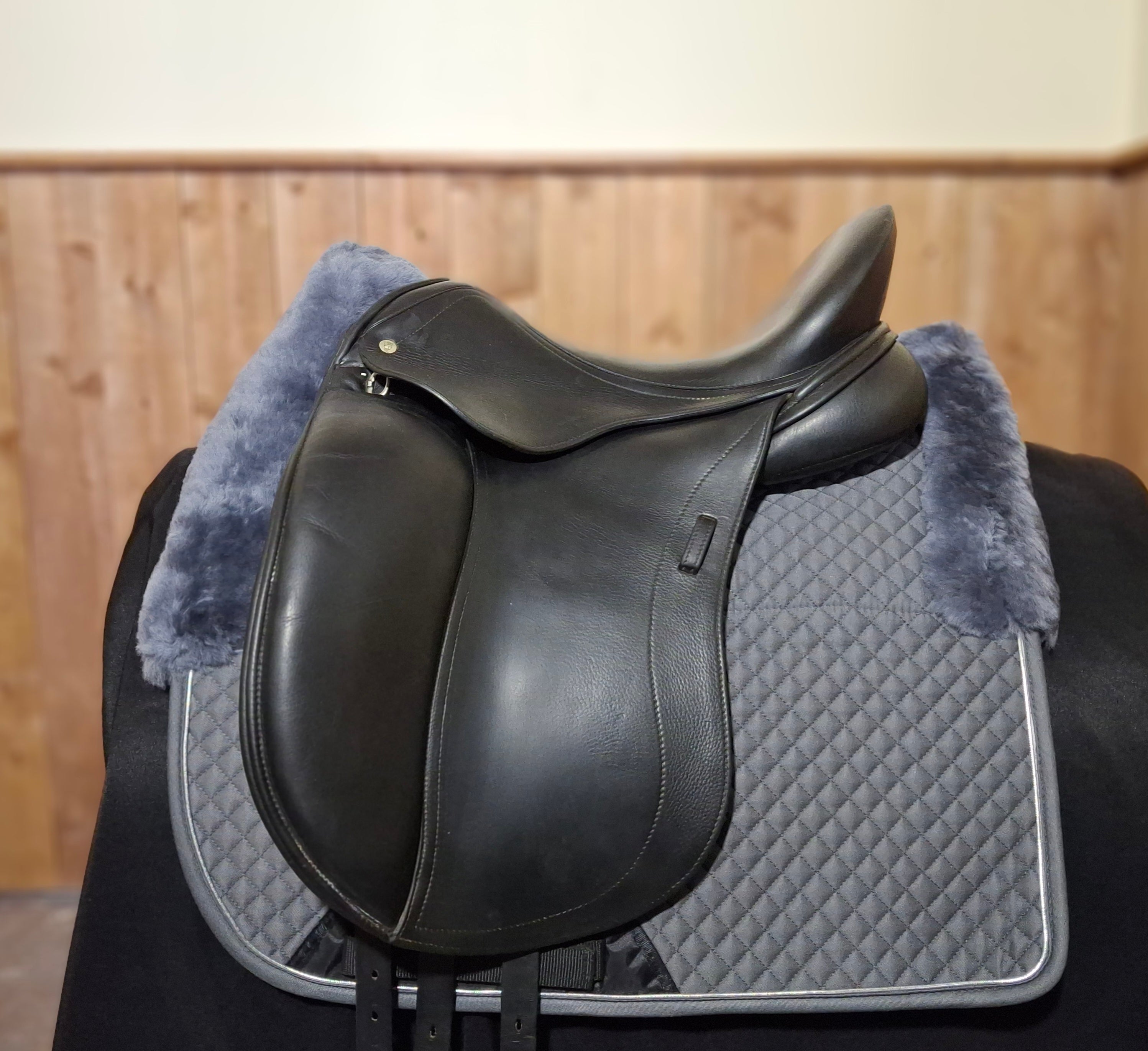 Used 17.5" Schleese Heike Kemmer – Traditional Line