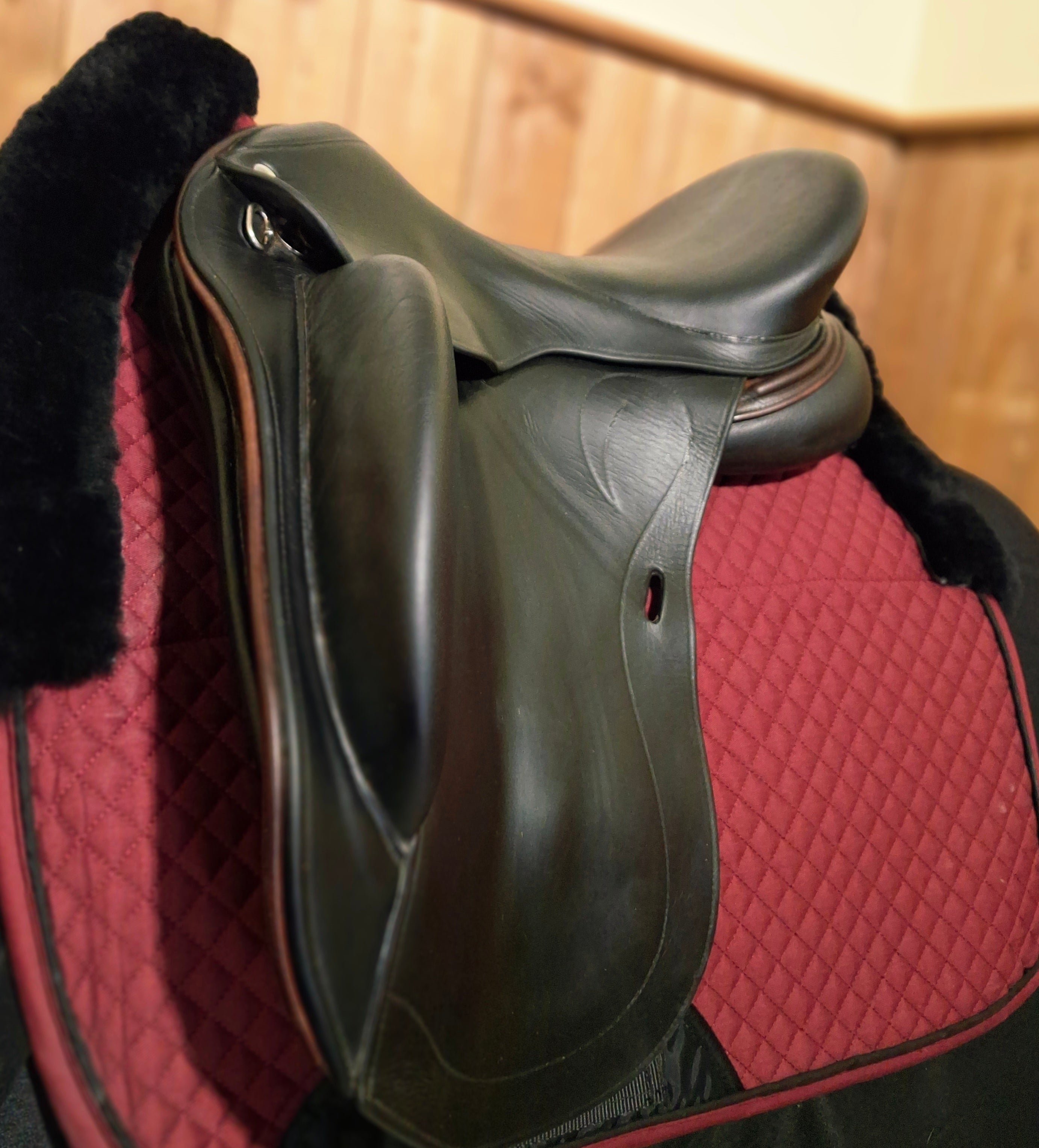 Used 17" Regal Dressage Saddle