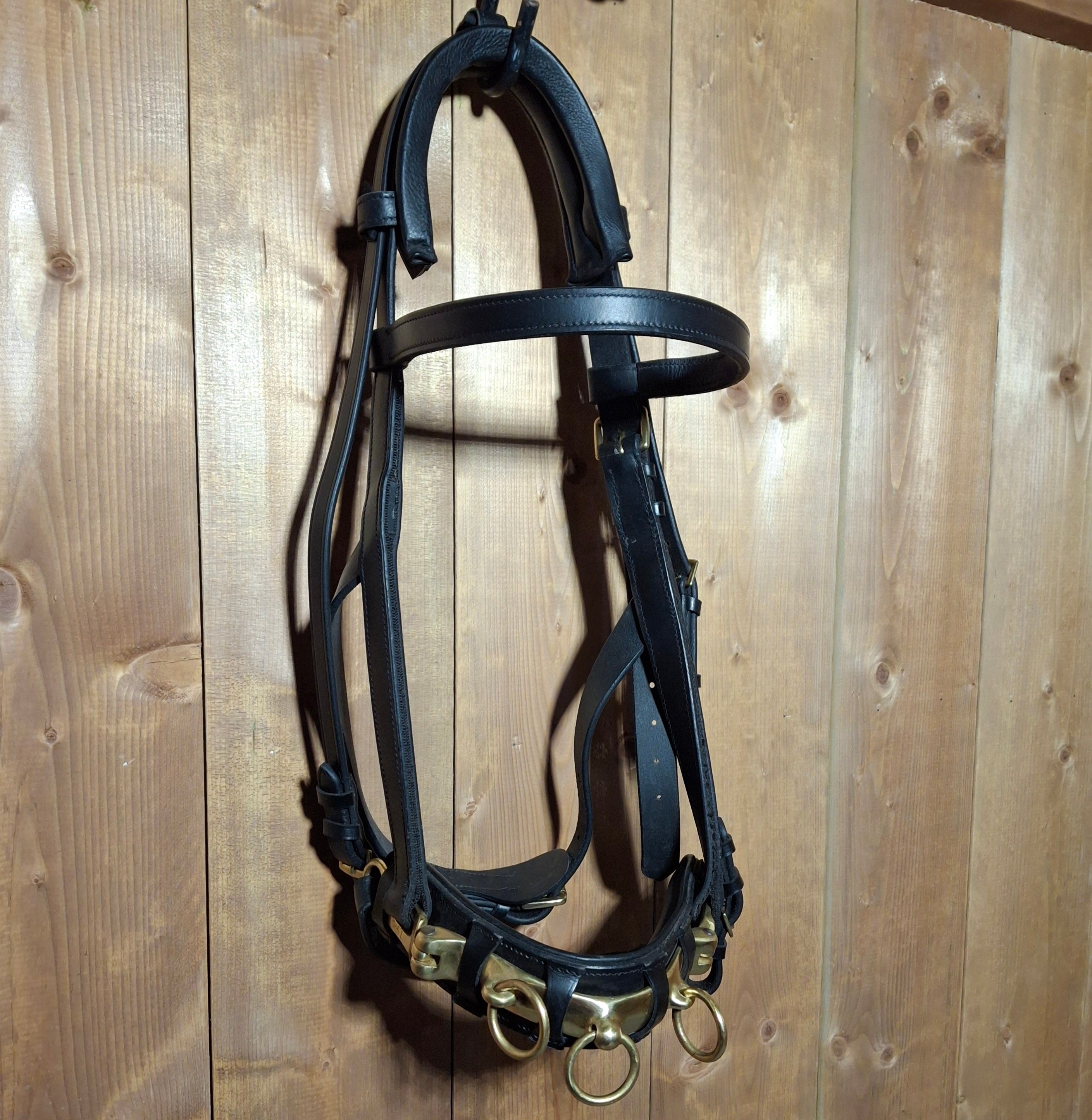 Used TdeT Full Size Lunging Cavesson