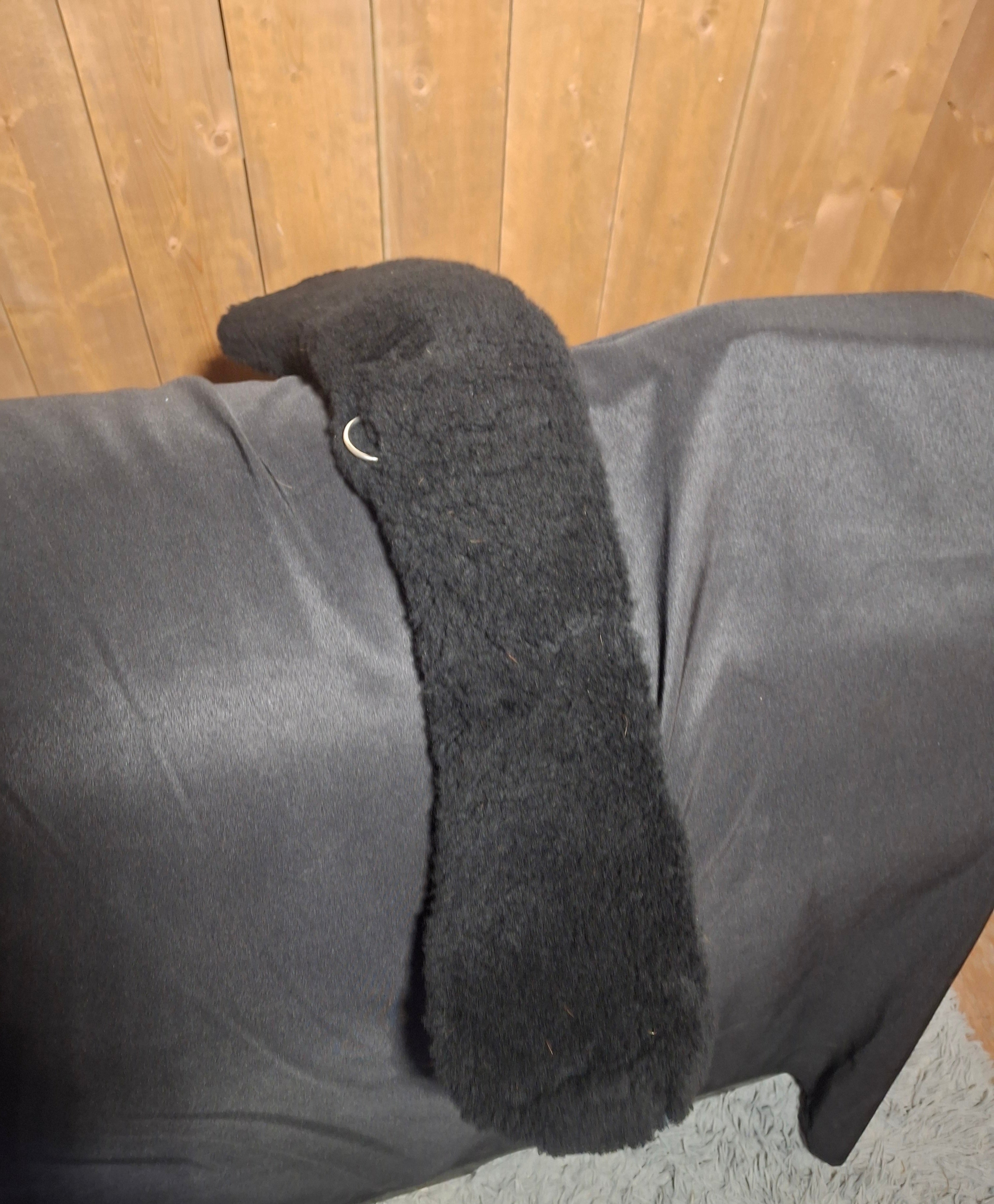 Used 70 cm Black Mattes Crescent Short Girth