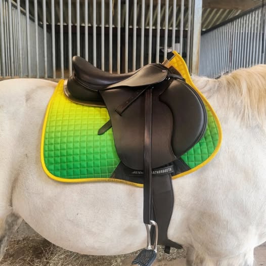 New Cavaletti Collection All-Purpose/GP Saddle