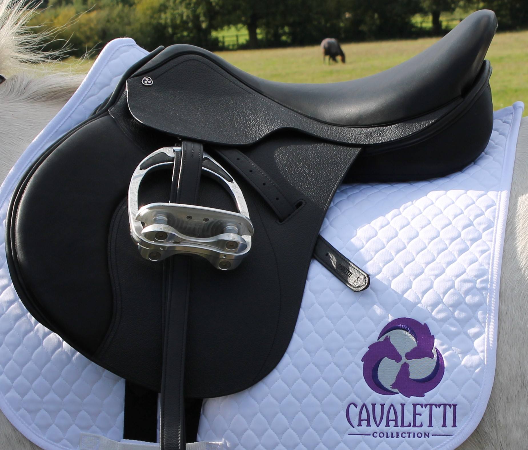 All-Purpose Saddles