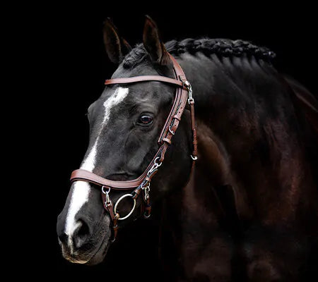 Used Like New PresTeq Anatomical FaySport Bridle - Full