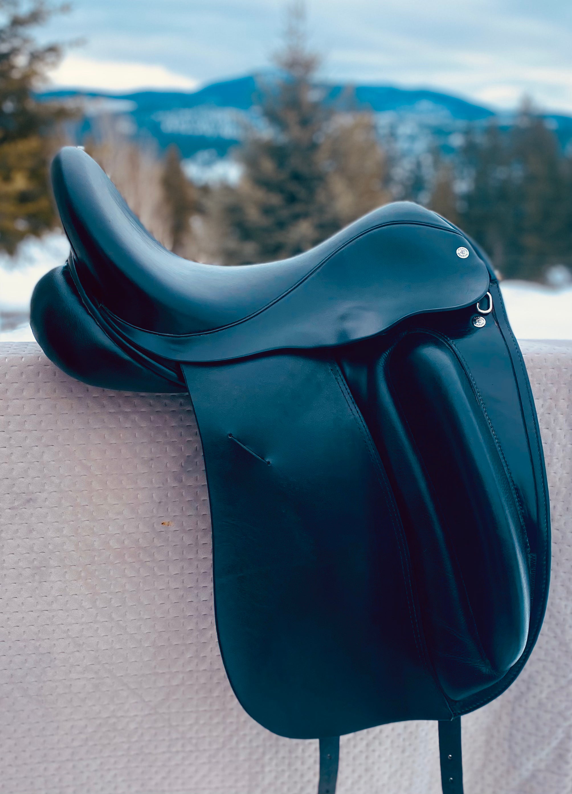 17” Used Custom Wolfgang Solo Dressage Saddle