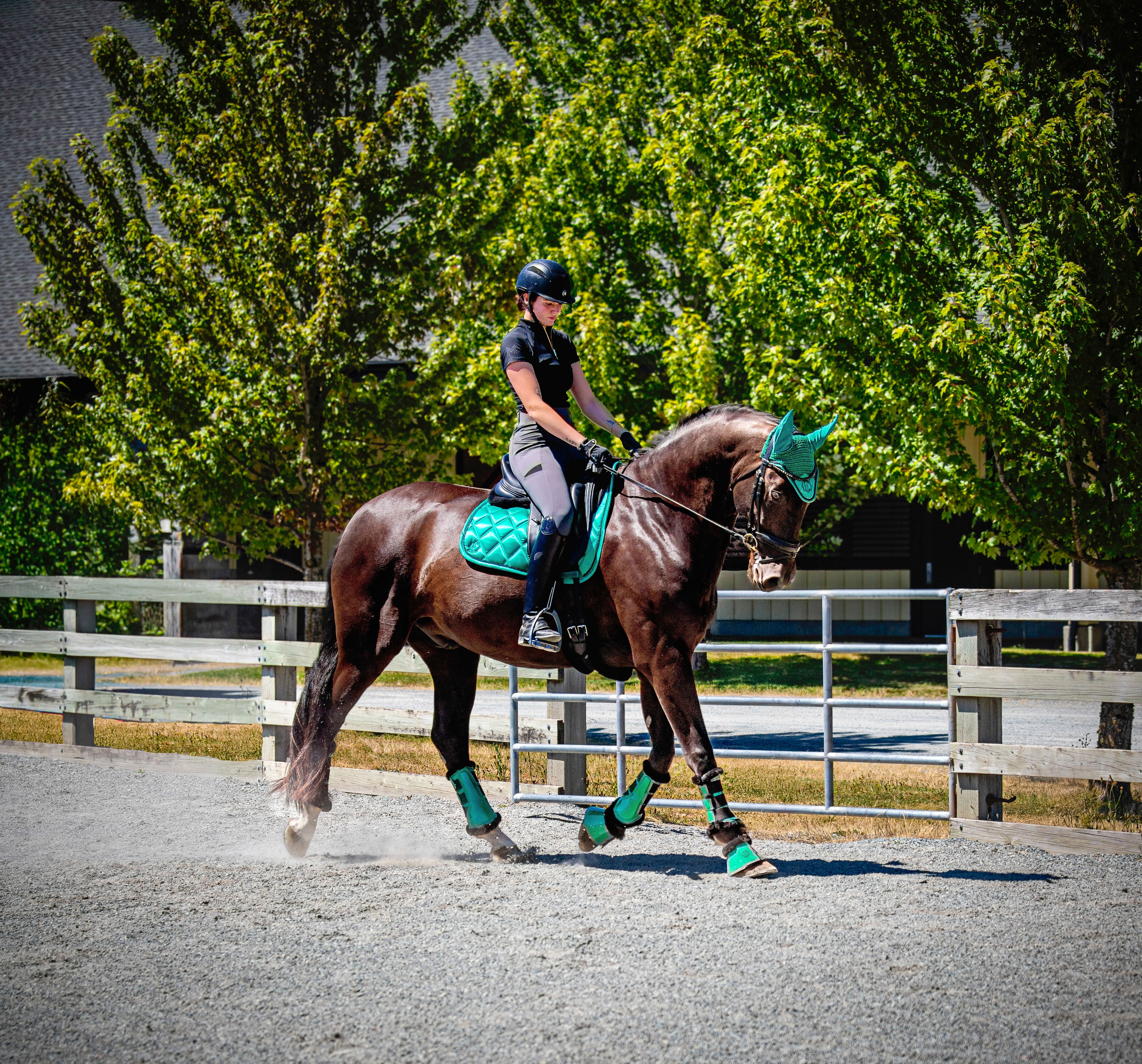 the saddler ヒール SaddleFit Canada