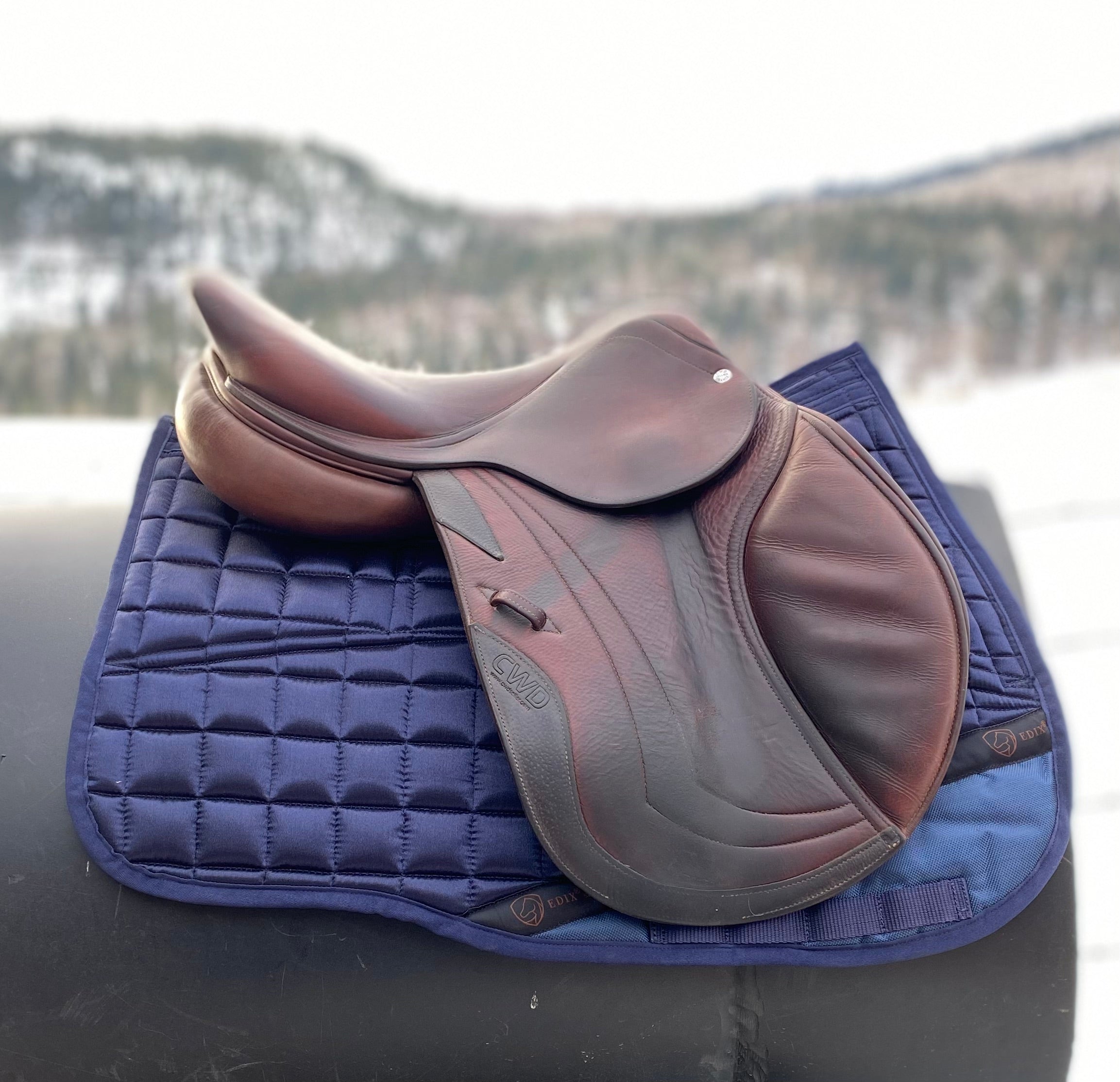 Used 16.5" CWD SE02 Jump Saddle