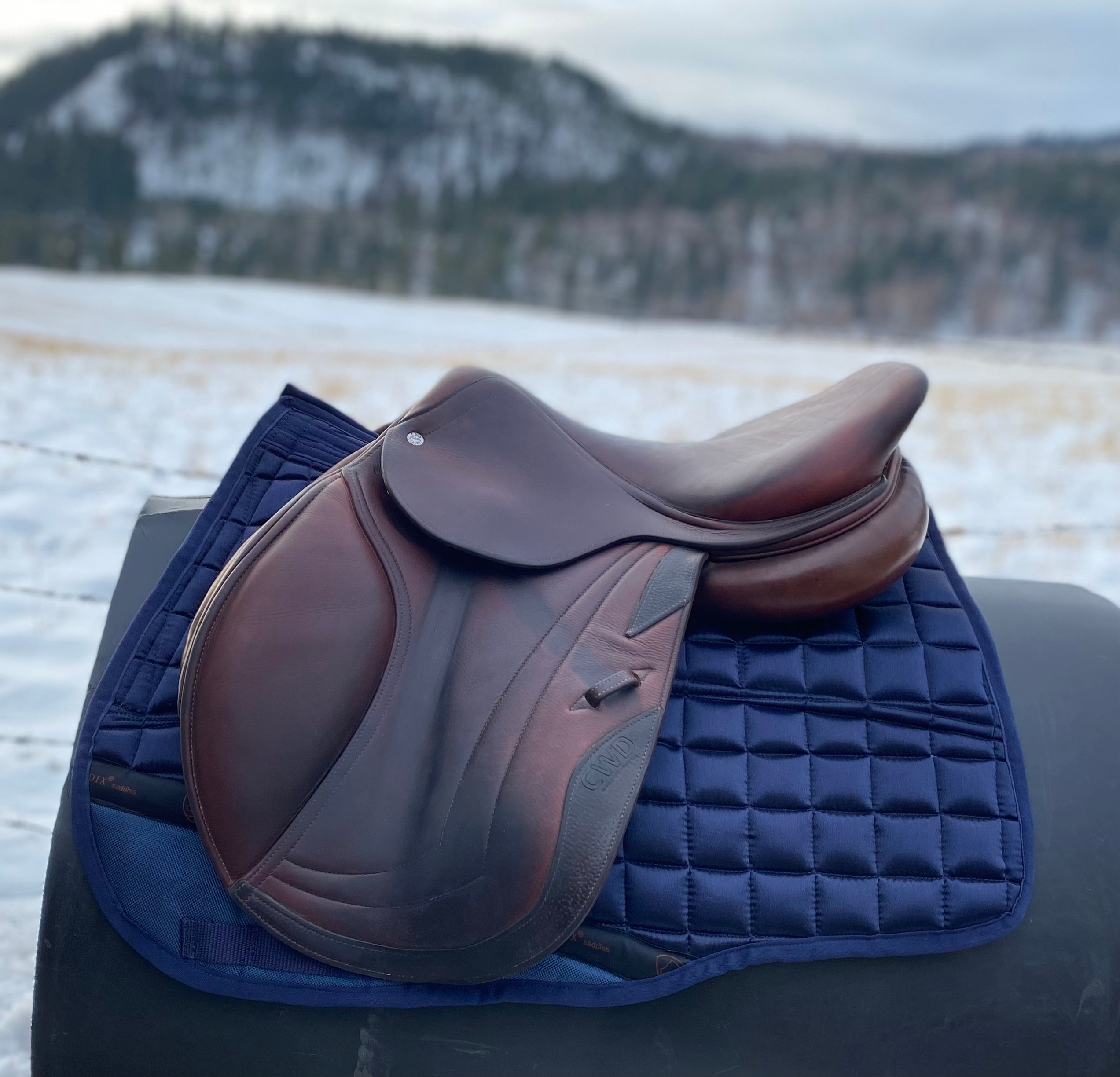 Used 16.5" CWD SE02 Jump Saddle